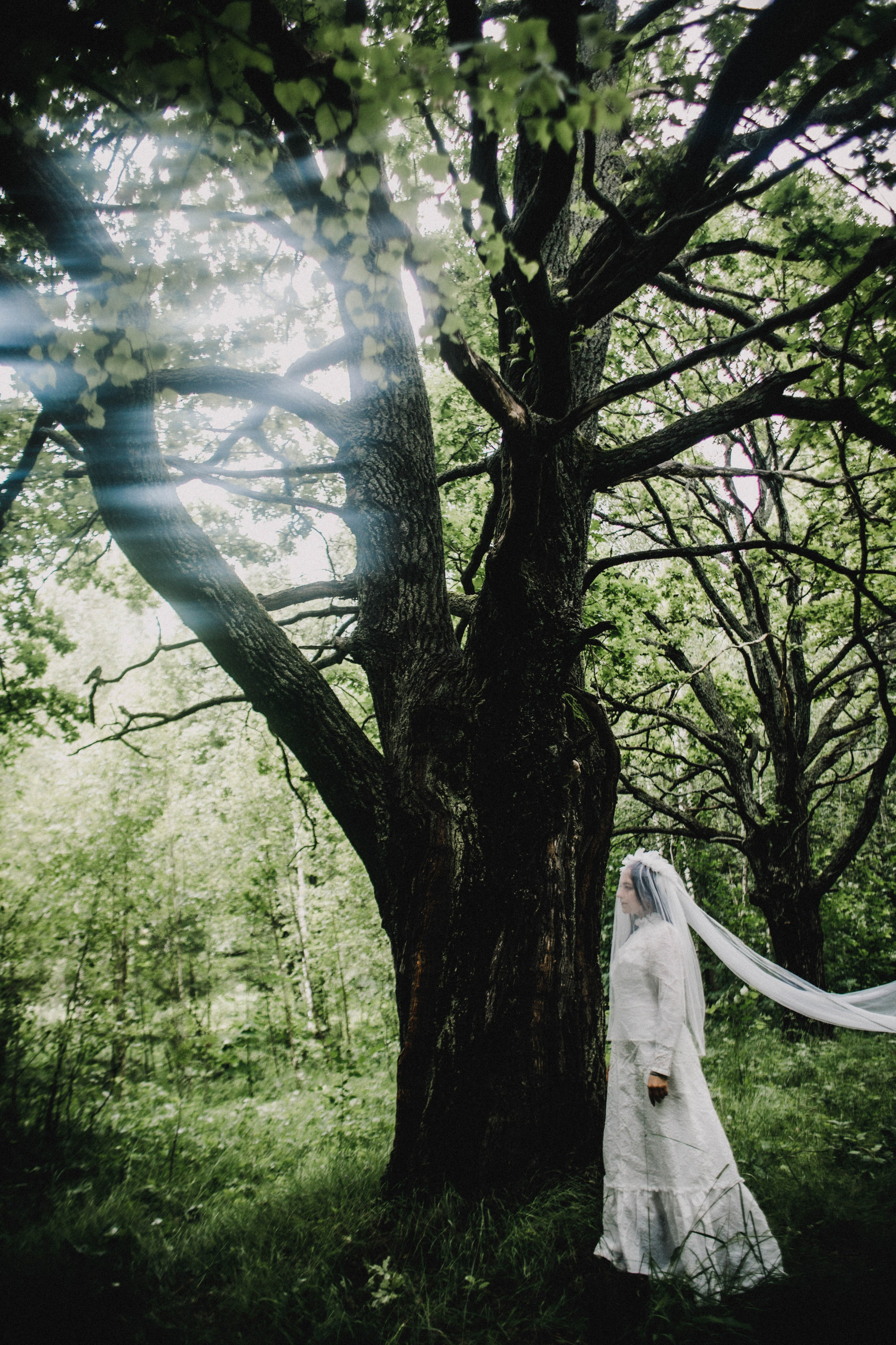 Лесное. Лена. Фотограф в Нижнем Новгороде