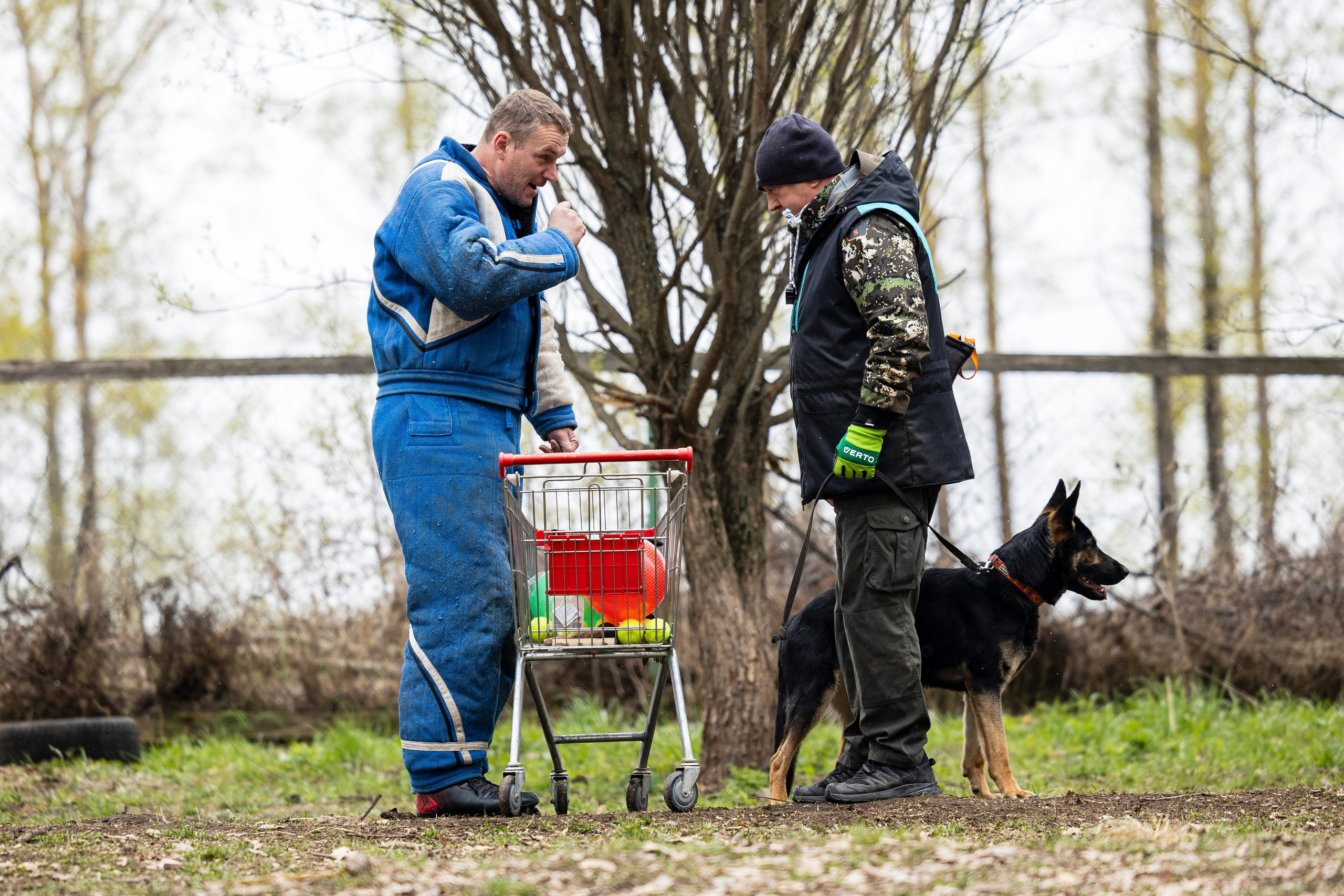 Квалификационные состязания по мондьорингу г. Вологда 11.05.24. Фотограф-анималист Анна Маринич