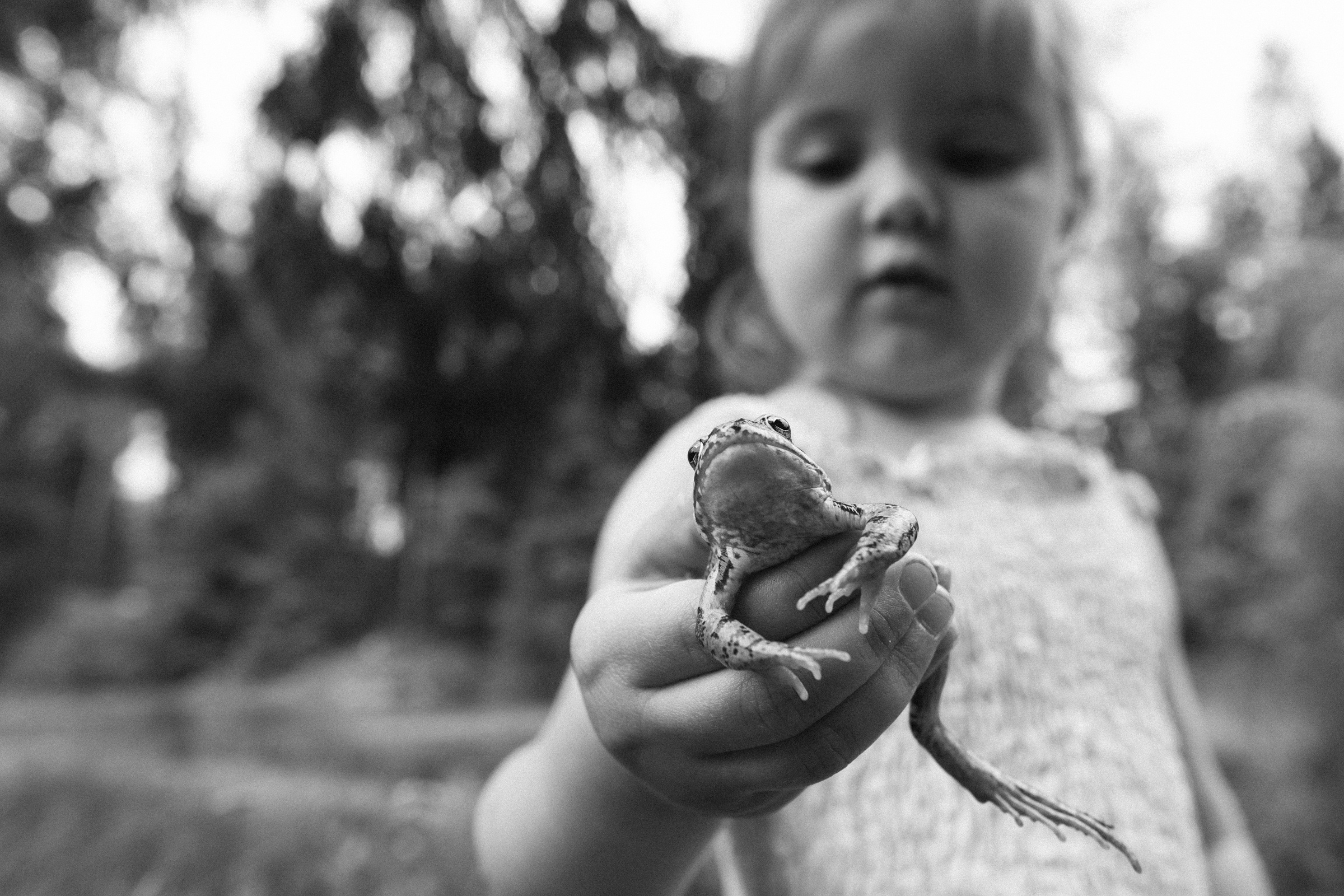 Ни одна лягушка не пострадала))). Свадебные и семейные фотографы в Москве Максим и Оксана Первомай