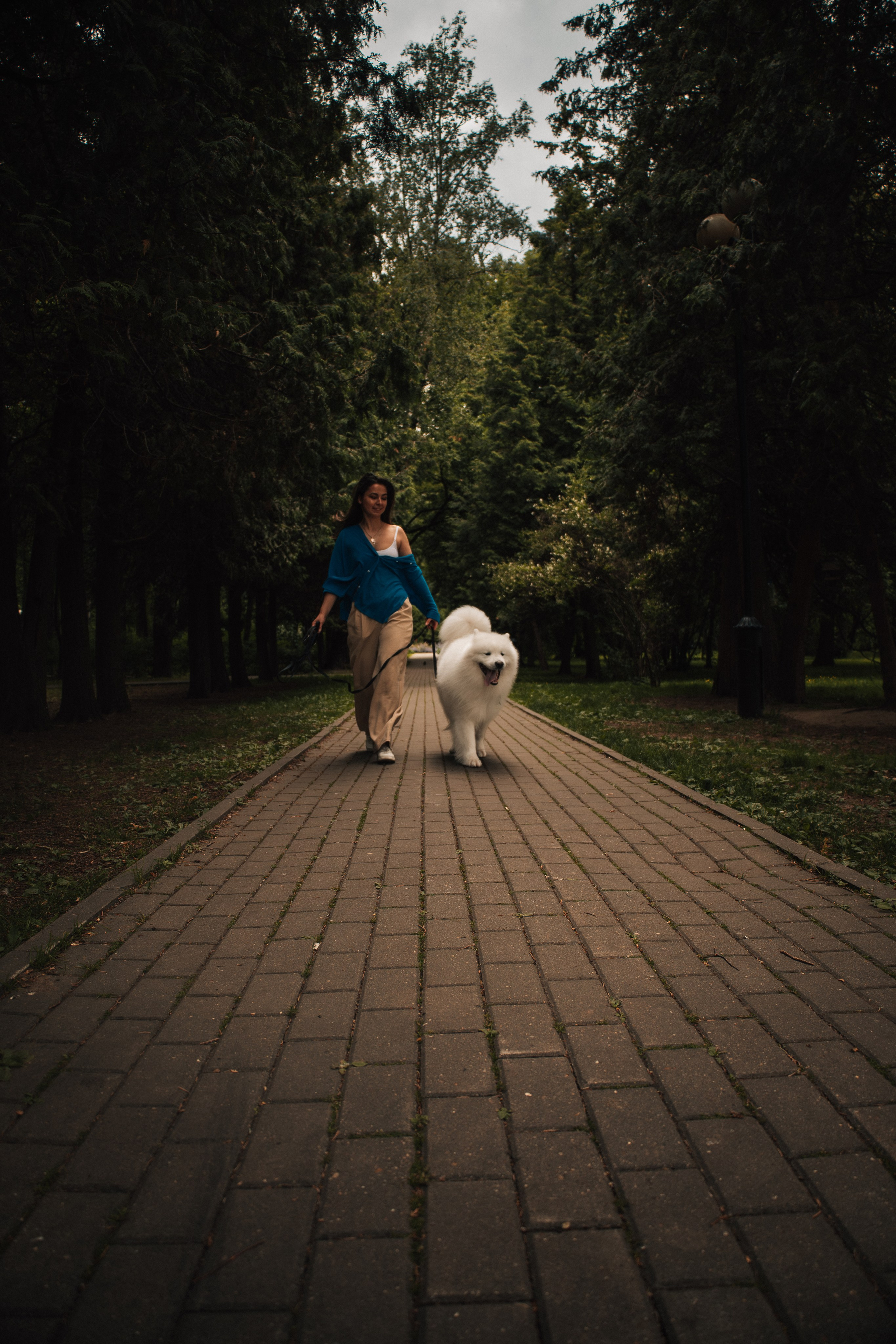 Прогулочная фотосессия девушки в парке с собакой самоедом. Фотограф-анималист в Москве Екатерина Тихонова