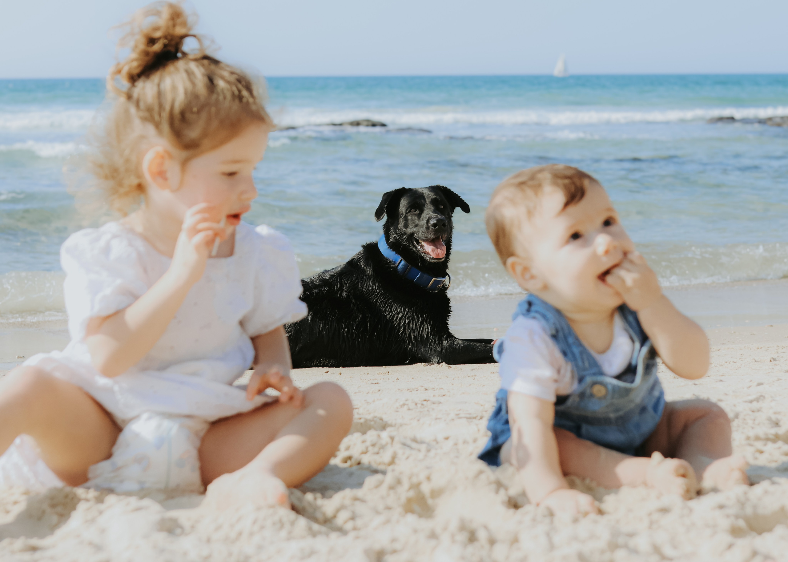 Racheli's family, November 2024. Photographer in Israel Alice Milchin