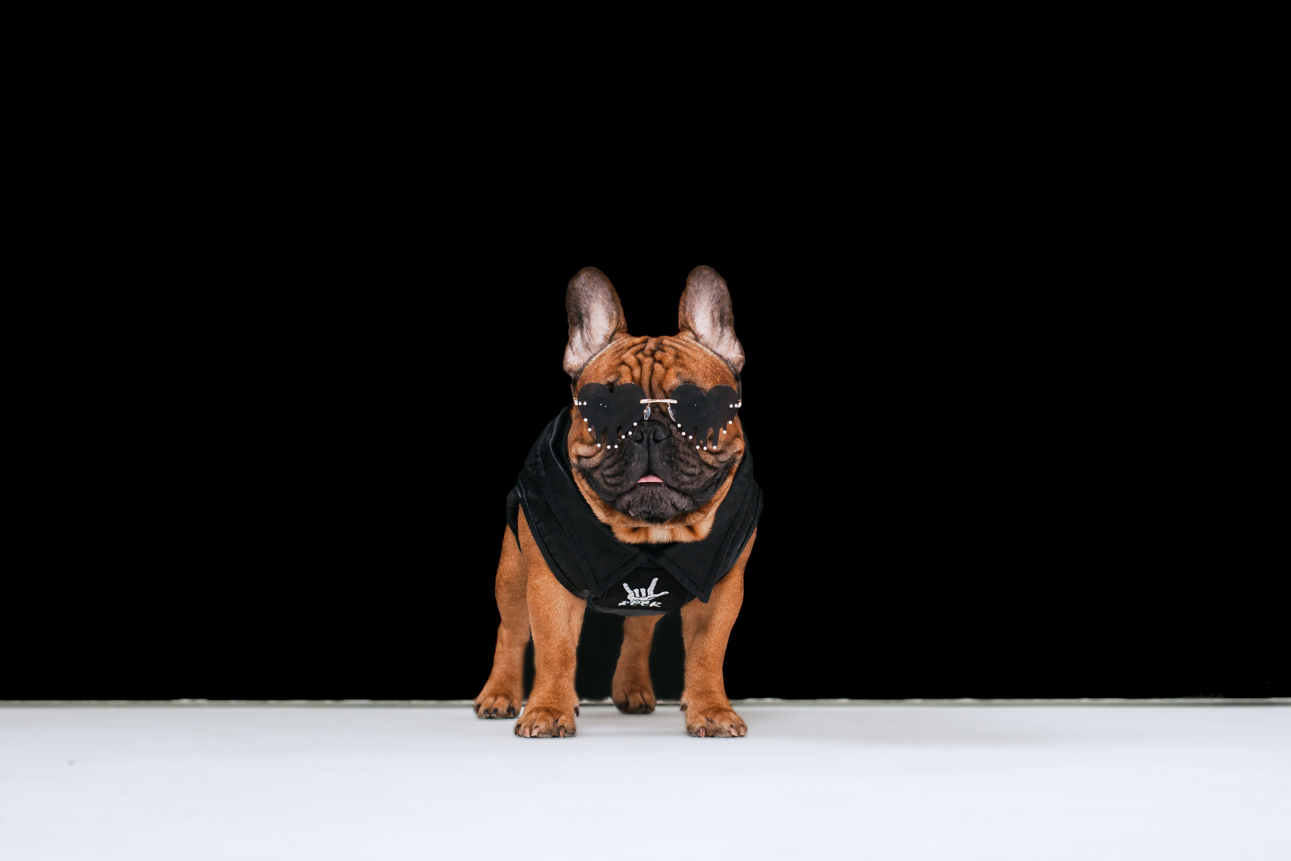 Пижамная вечеринка французских бульдогов и их хозяев. Фотограф-анималист Татьяна Степанова