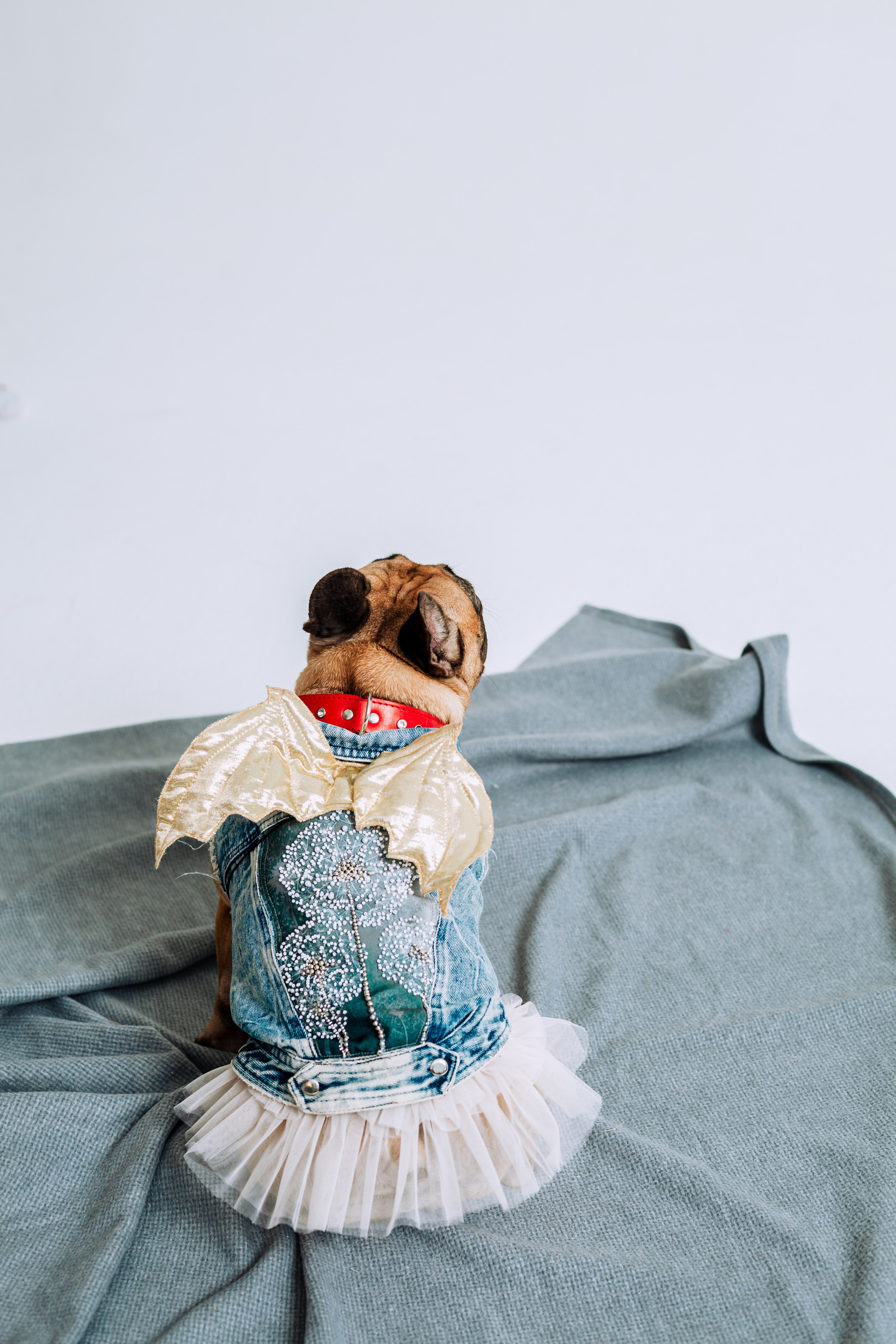 Бульвстреча 2025. Фотограф-анималист Татьяна Степанова