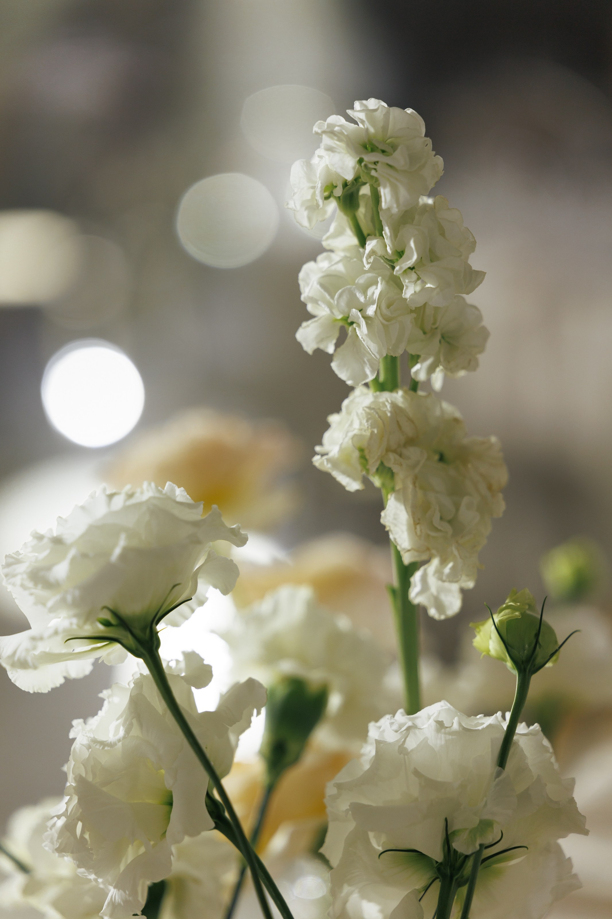 Марк и Елизавета. Свадебный фотограф в Ростове — на — Дону Александра Пивоварова