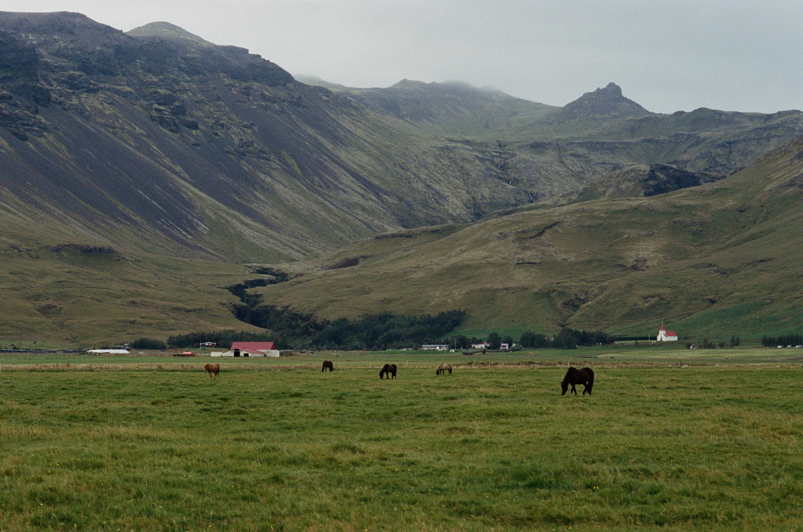 Human // iceland, dyrhólaey. EVER EXPOSED
