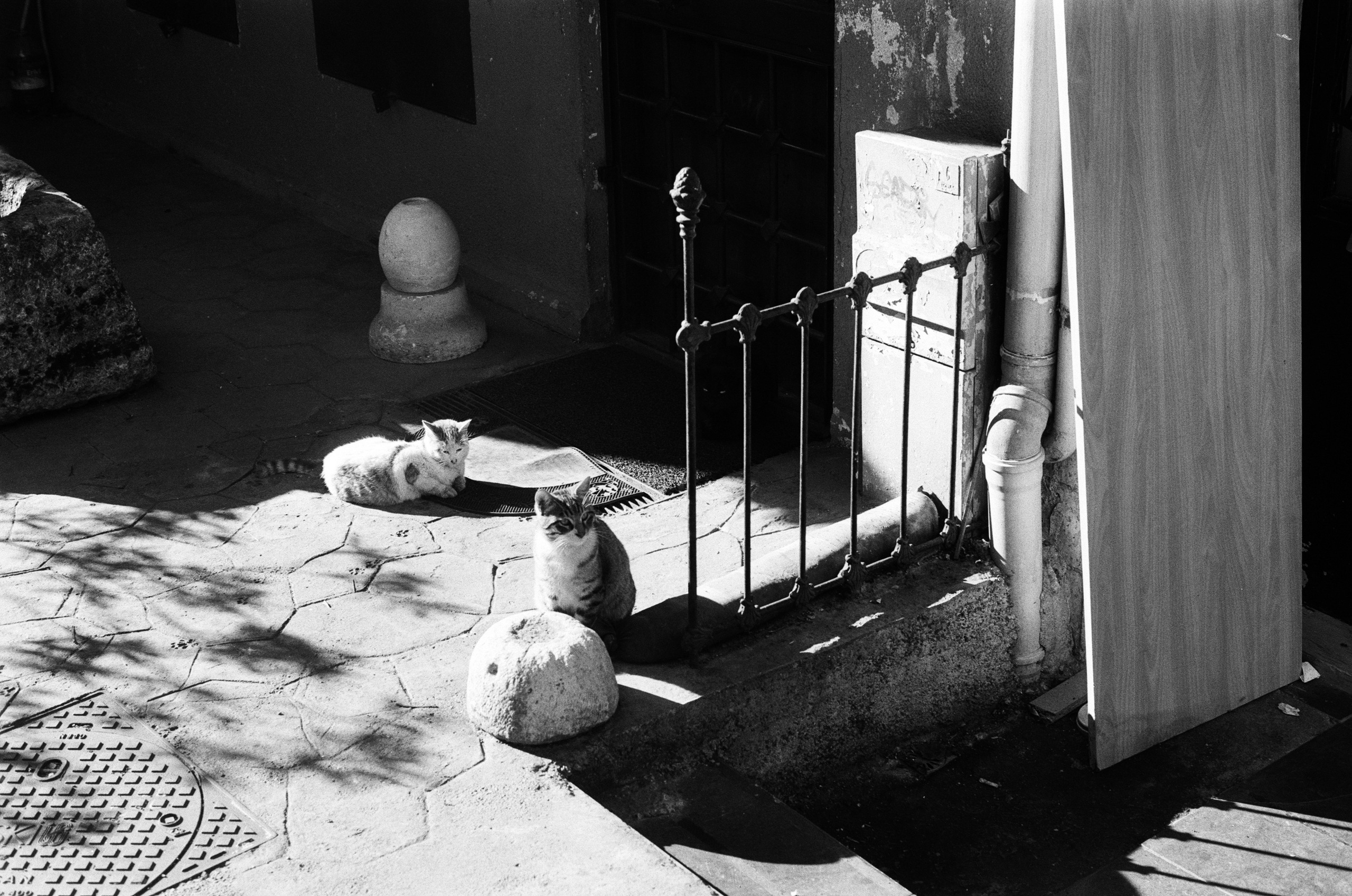 Complicated // turkey, istanbul VI. EVER EXPOSED