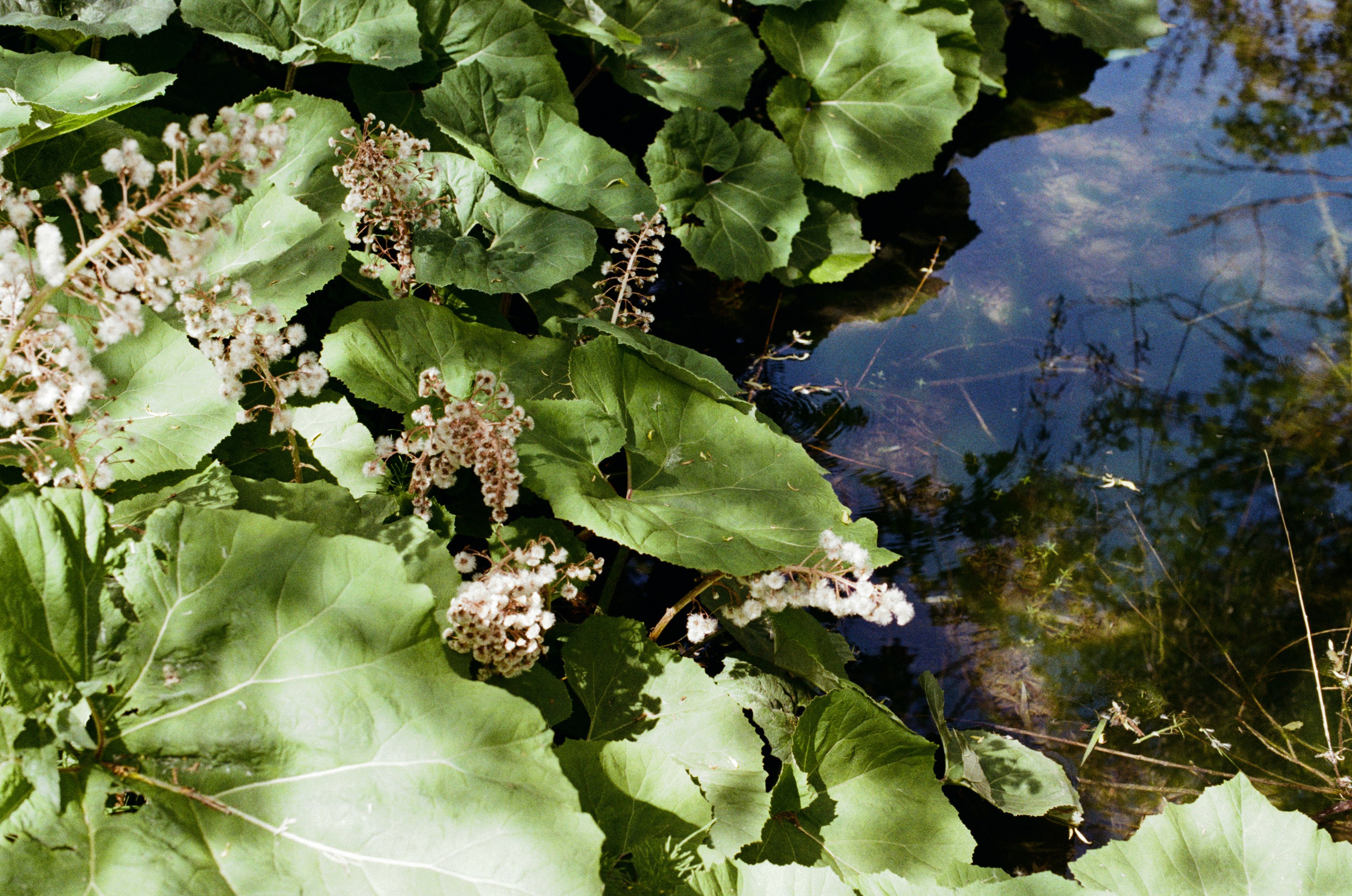Point of no reply // ukraine, crimea. EVER EXPOSED