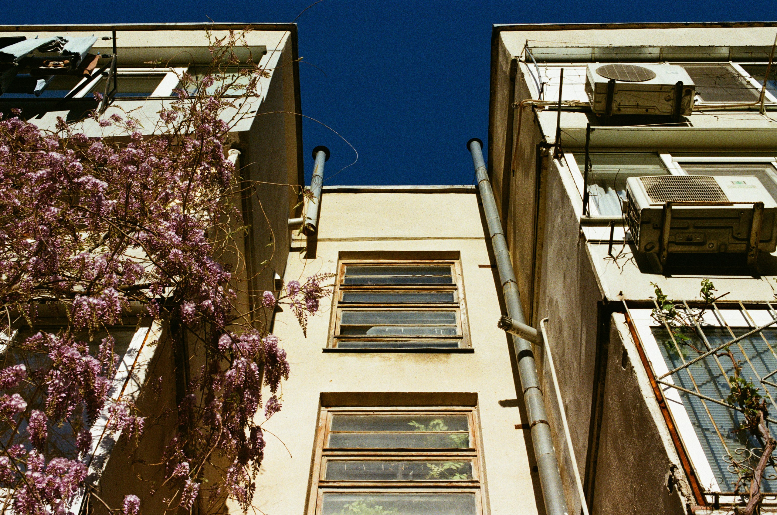 Sakura blues // ukraine, crimea III. EVER EXPOSED