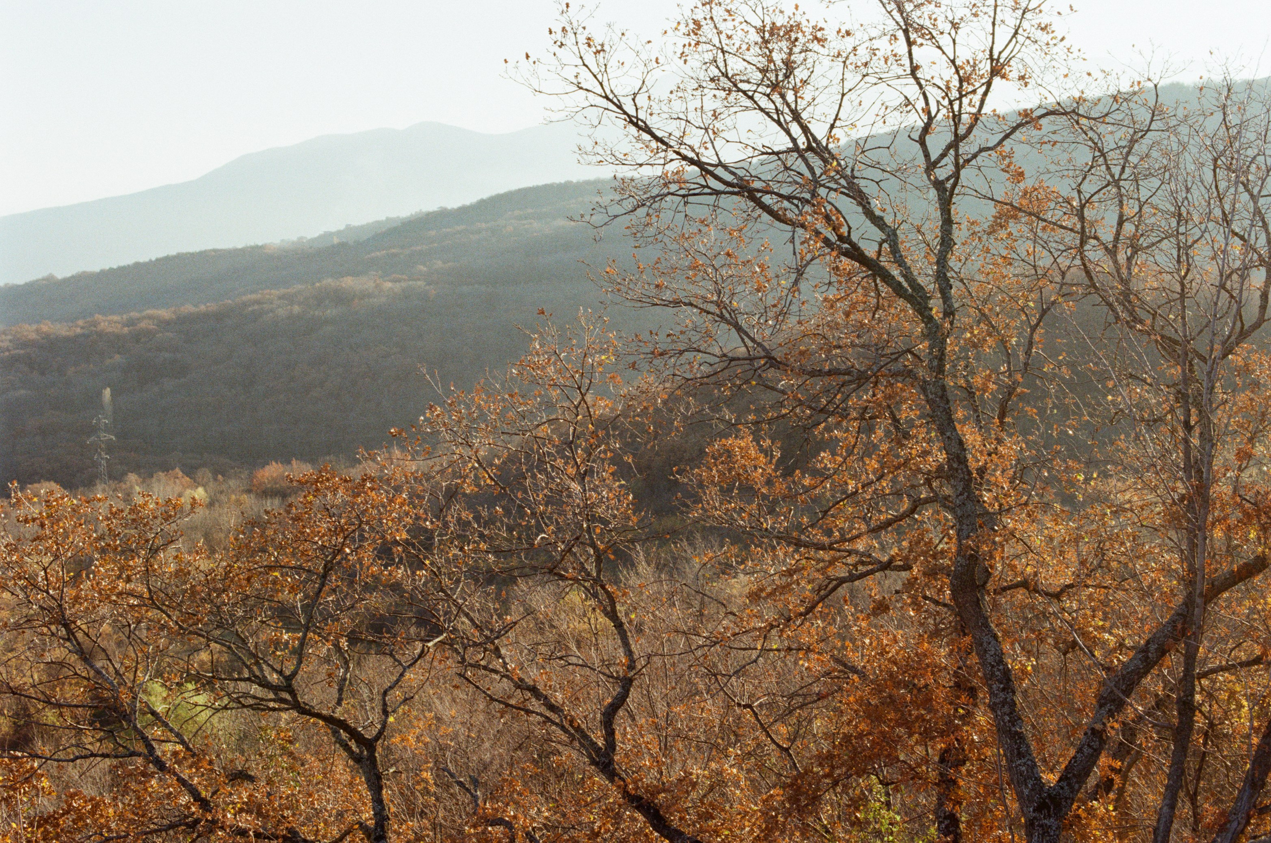 Wherever you will go // ukraine, crimea VI. EVER EXPOSED