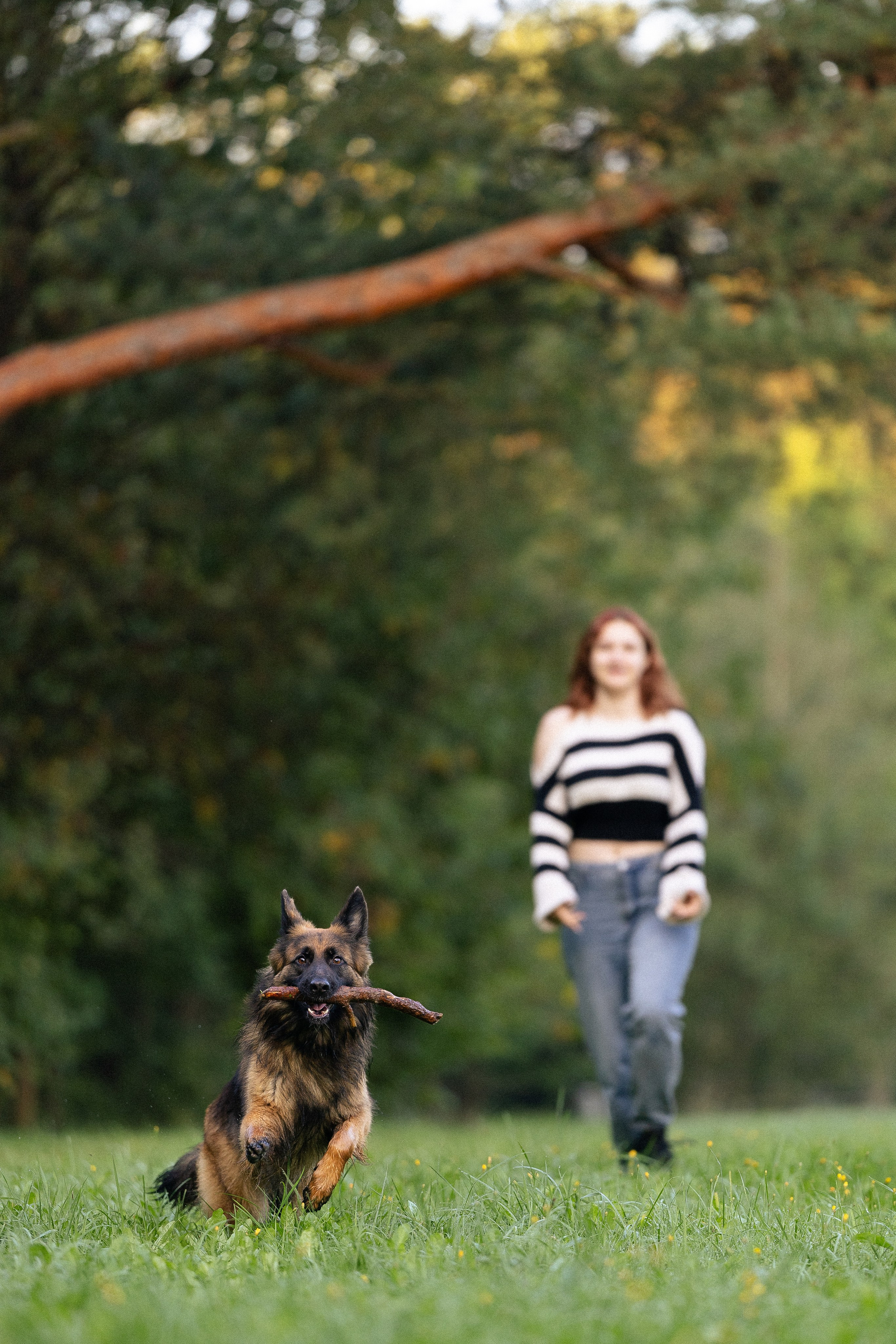 Алена, Матвей, Фанни и Фрея. Фотограф и видеограф анималист Аганина Дарья