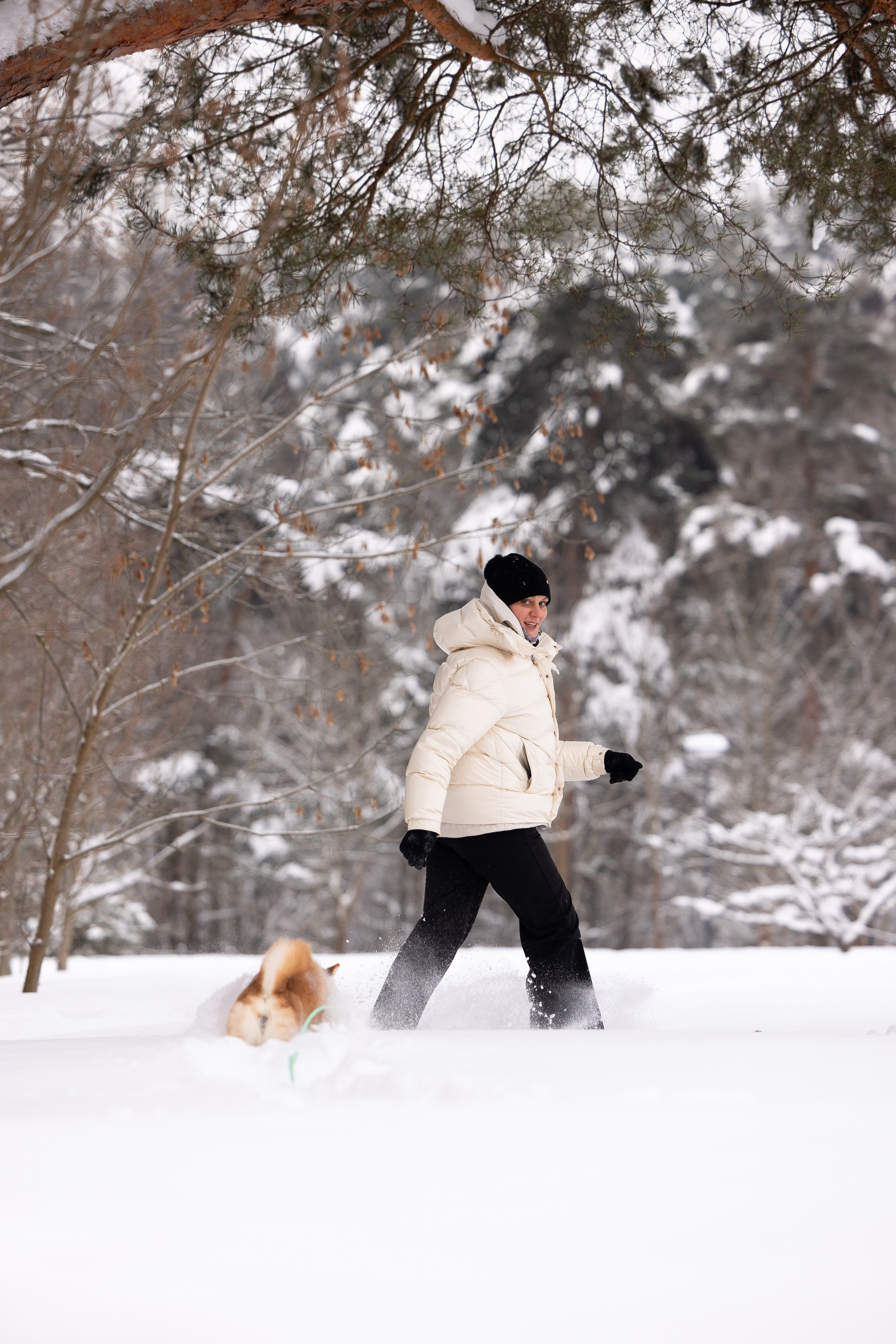 Юми, Серж и Тоши. Фотограф и видеограф анималист Аганина Дарья