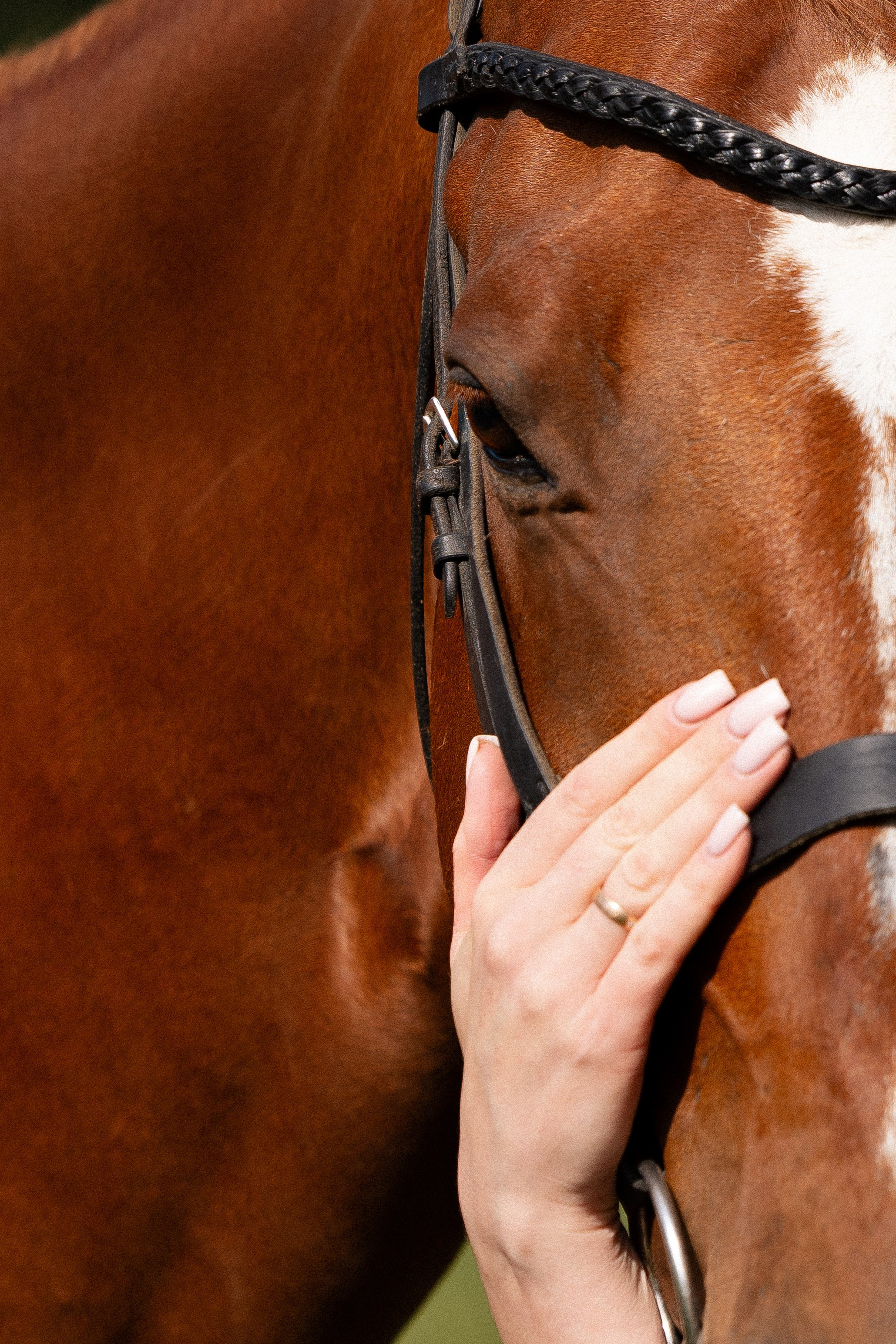 Мария и Реванш. Фотограф и видеограф анималист Аганина Дарья