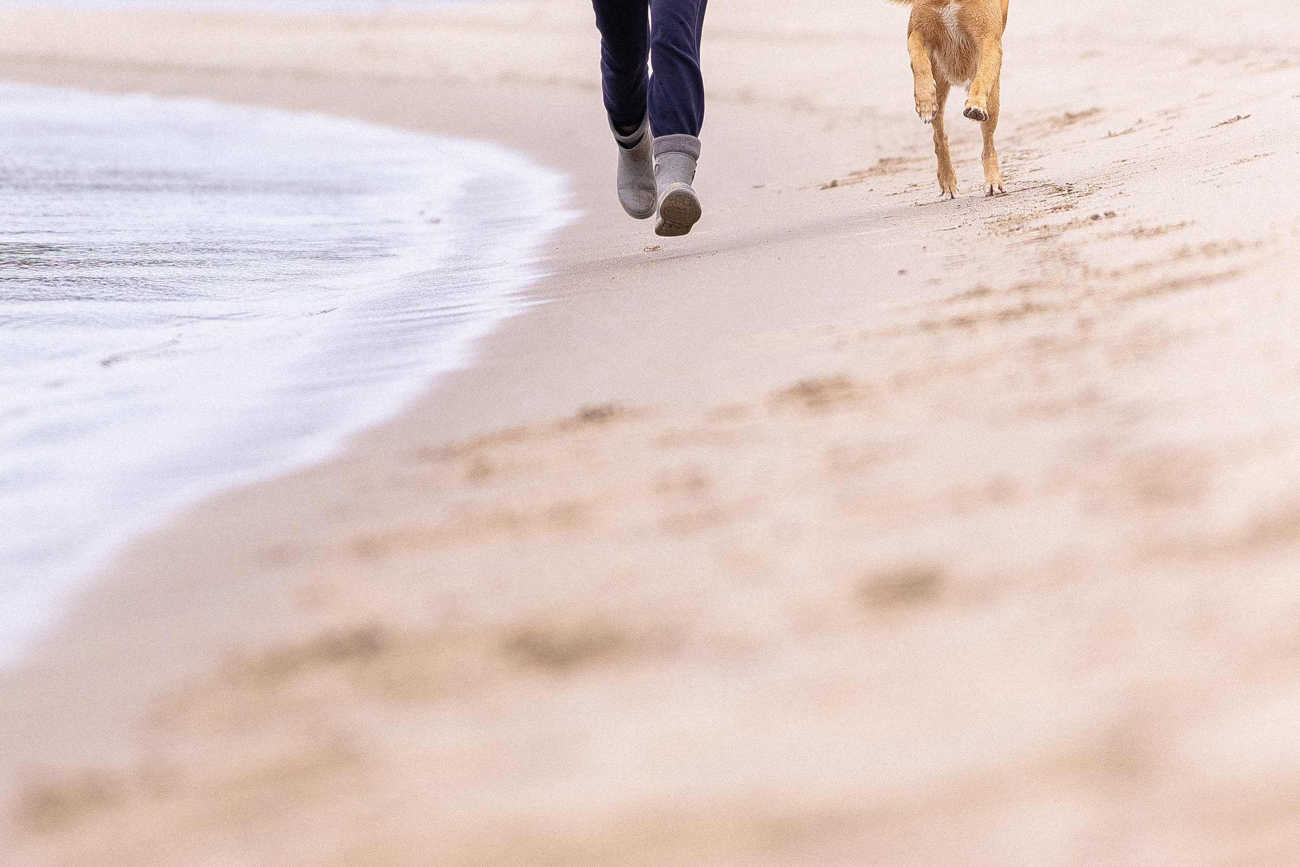Karelia. Фотограф и видеограф анималист Аганина Дарья