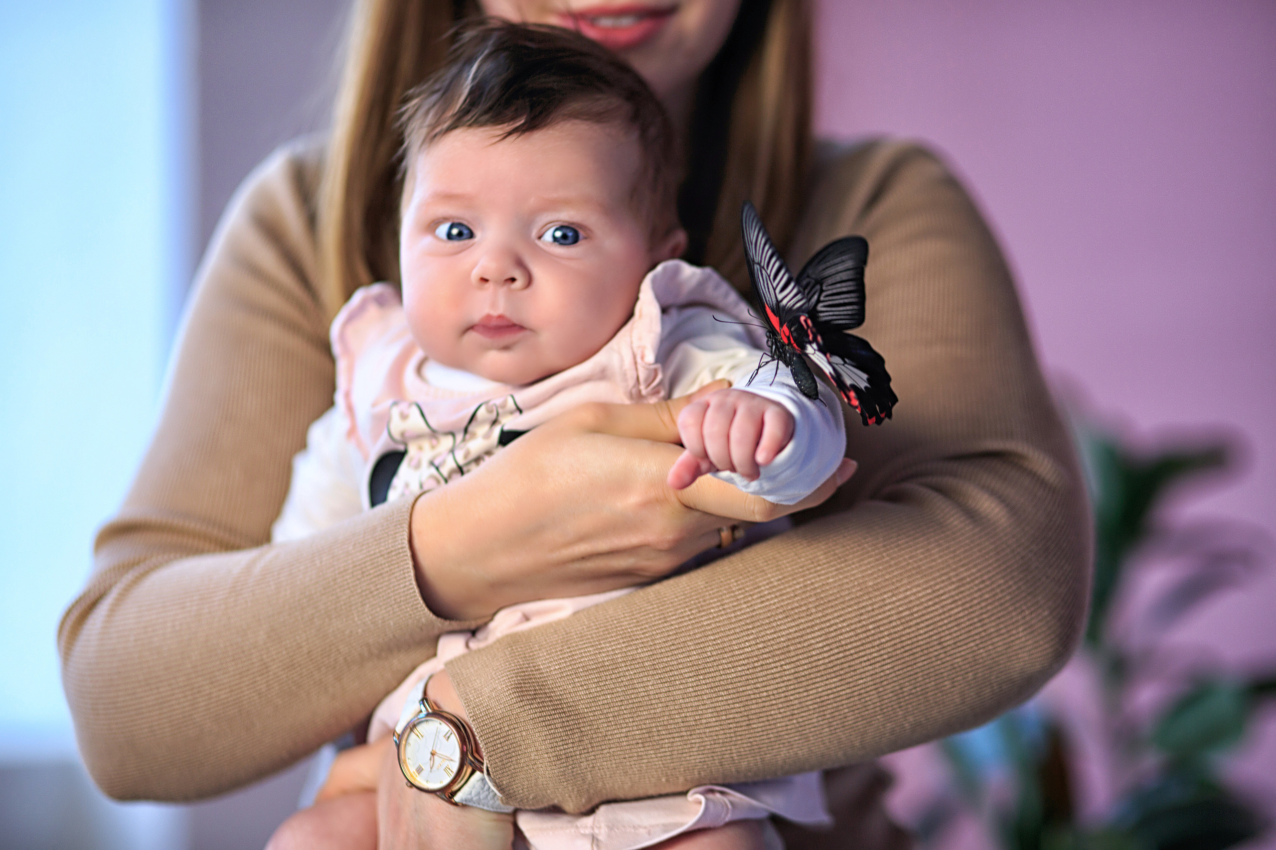 Фотосессии 2020. Свадебный, семейный и детский фотограф в Калининграде Елена Кравцова