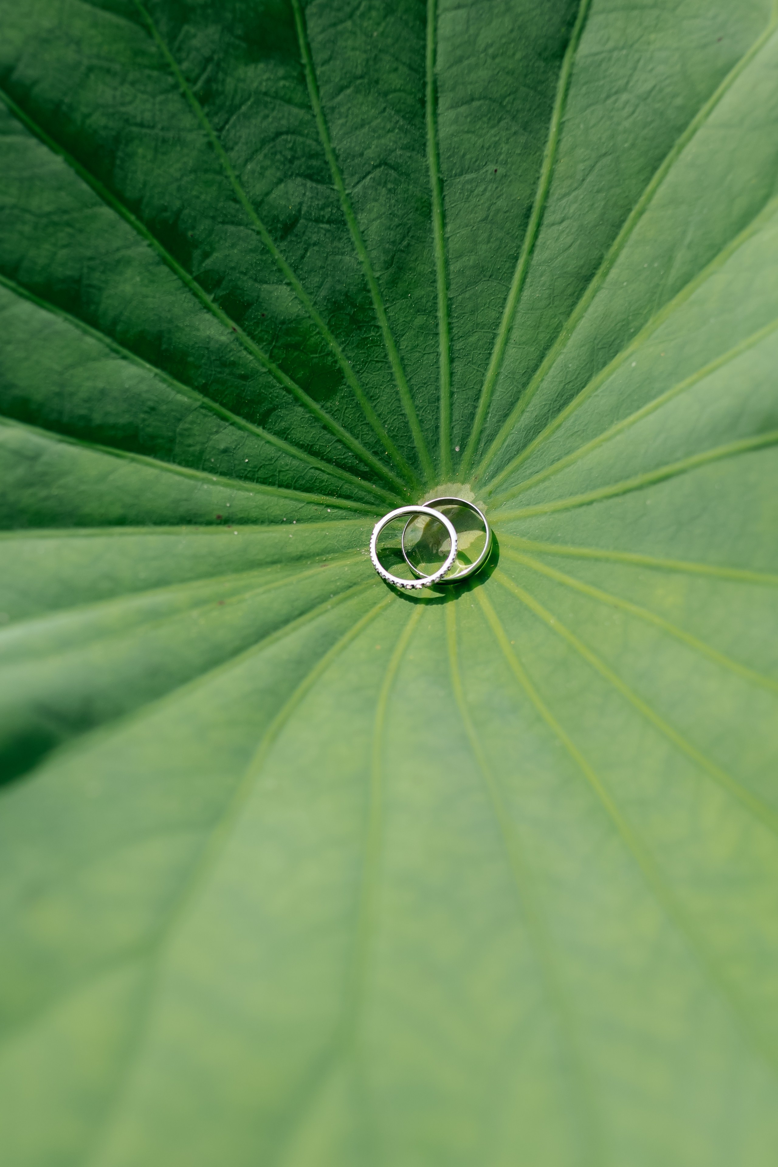 Тимофей и Маргарита. Озеро Лотосов. Венчание в церкви. Свадебный фотограф в Хабаровске
