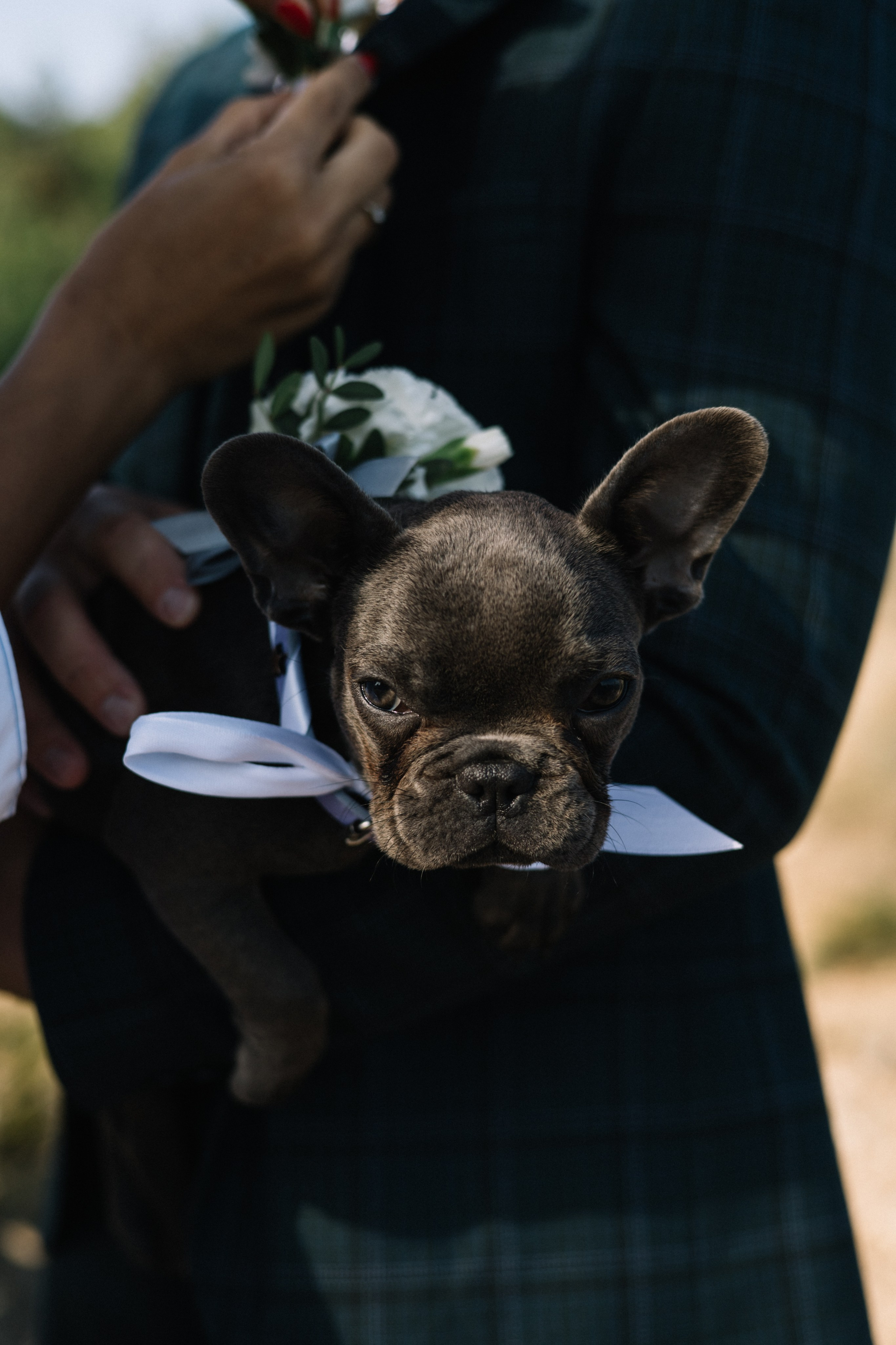 Станислав & Снижана 13.07.2023. Фотограф в Севастополе — Евгения Бойко