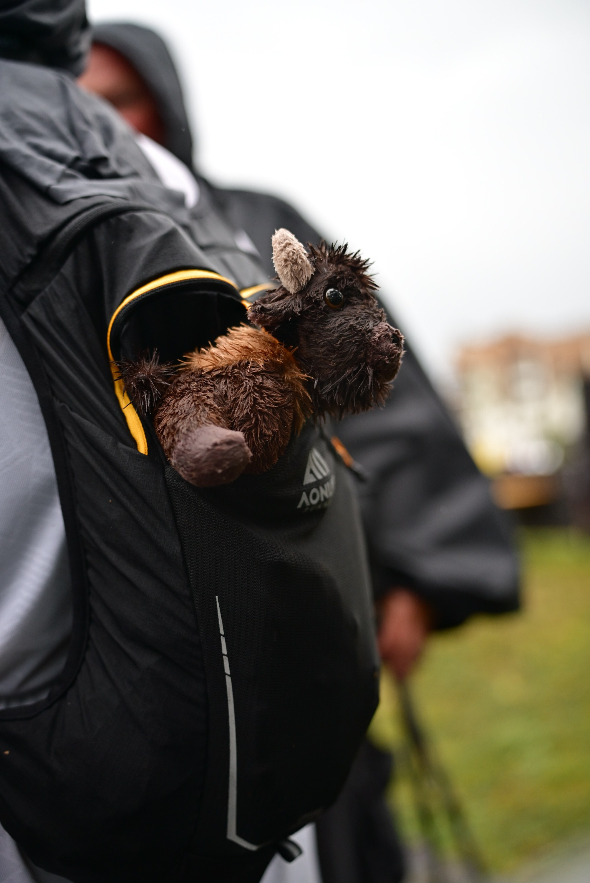 Т-Банк Rosa Wild Fest 07/09/2025. Фотограф в Краснодаре Алена Горбунова