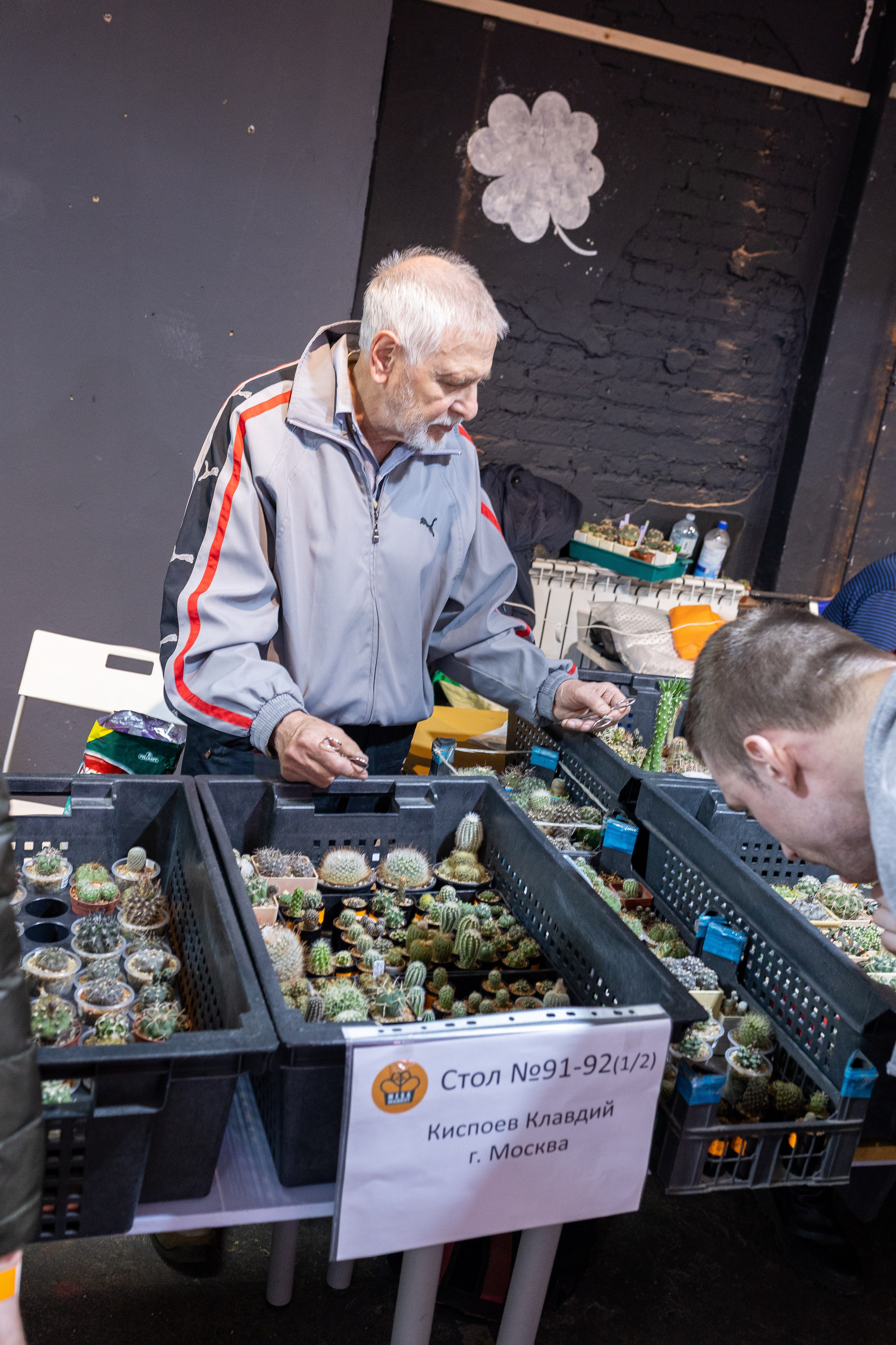 Meza market 2024. Александра Куликова фотограф, Москва