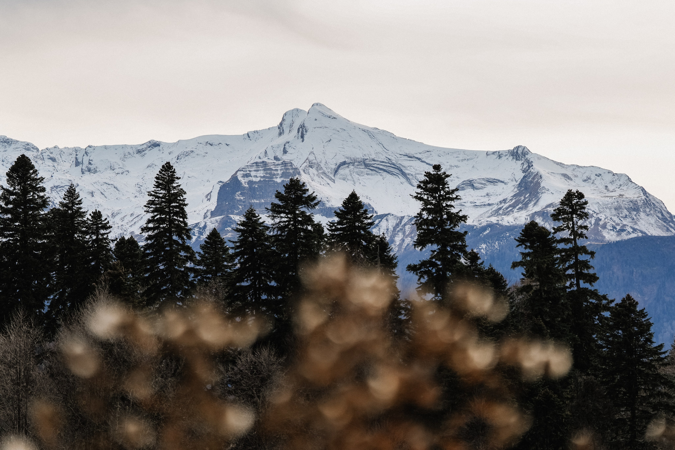 Роза Хутор ✽ Ноябрь. Репортажный фотограф | Роза Хутор Красная Поляна Сочи Сириус