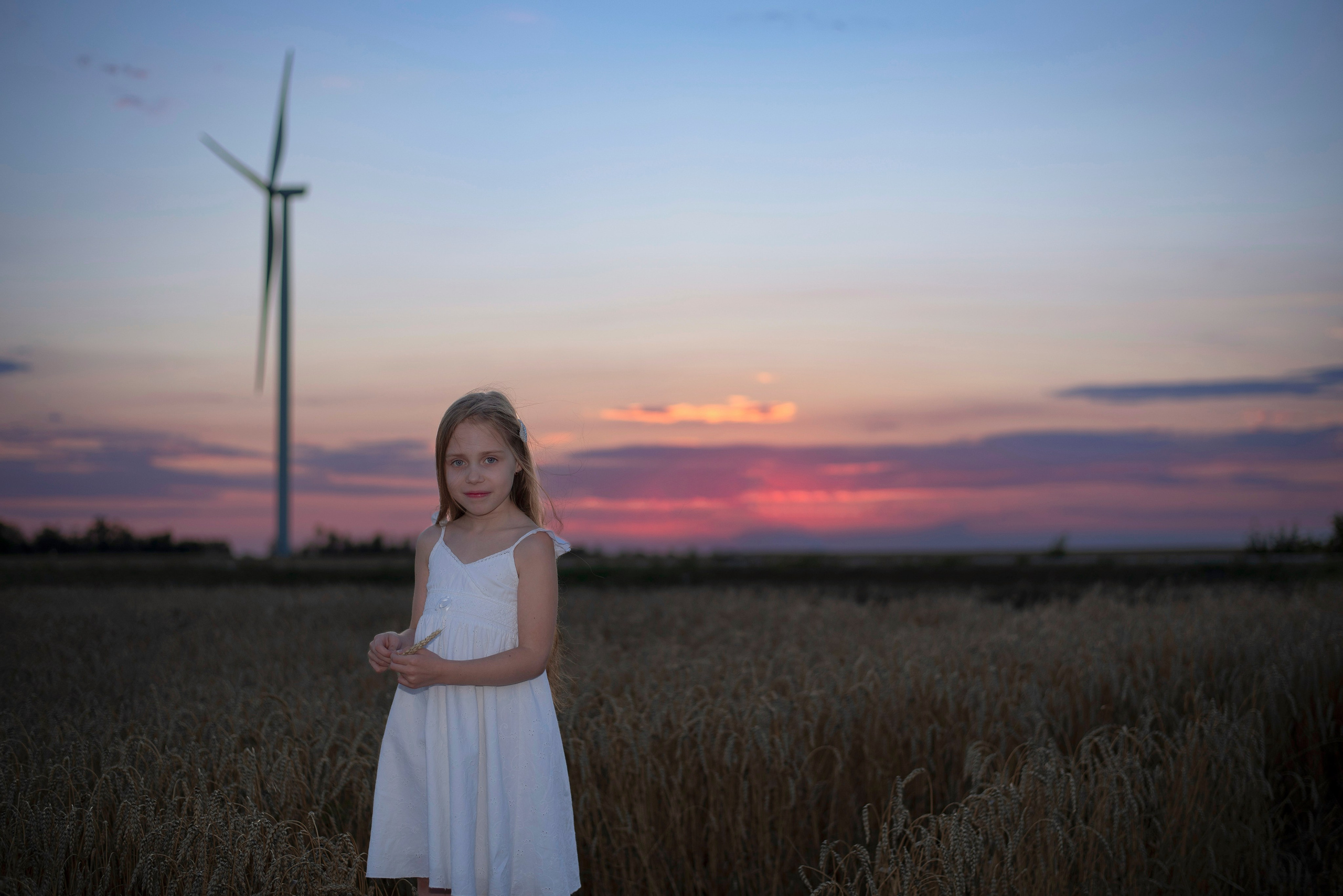 Пшеница. Главная