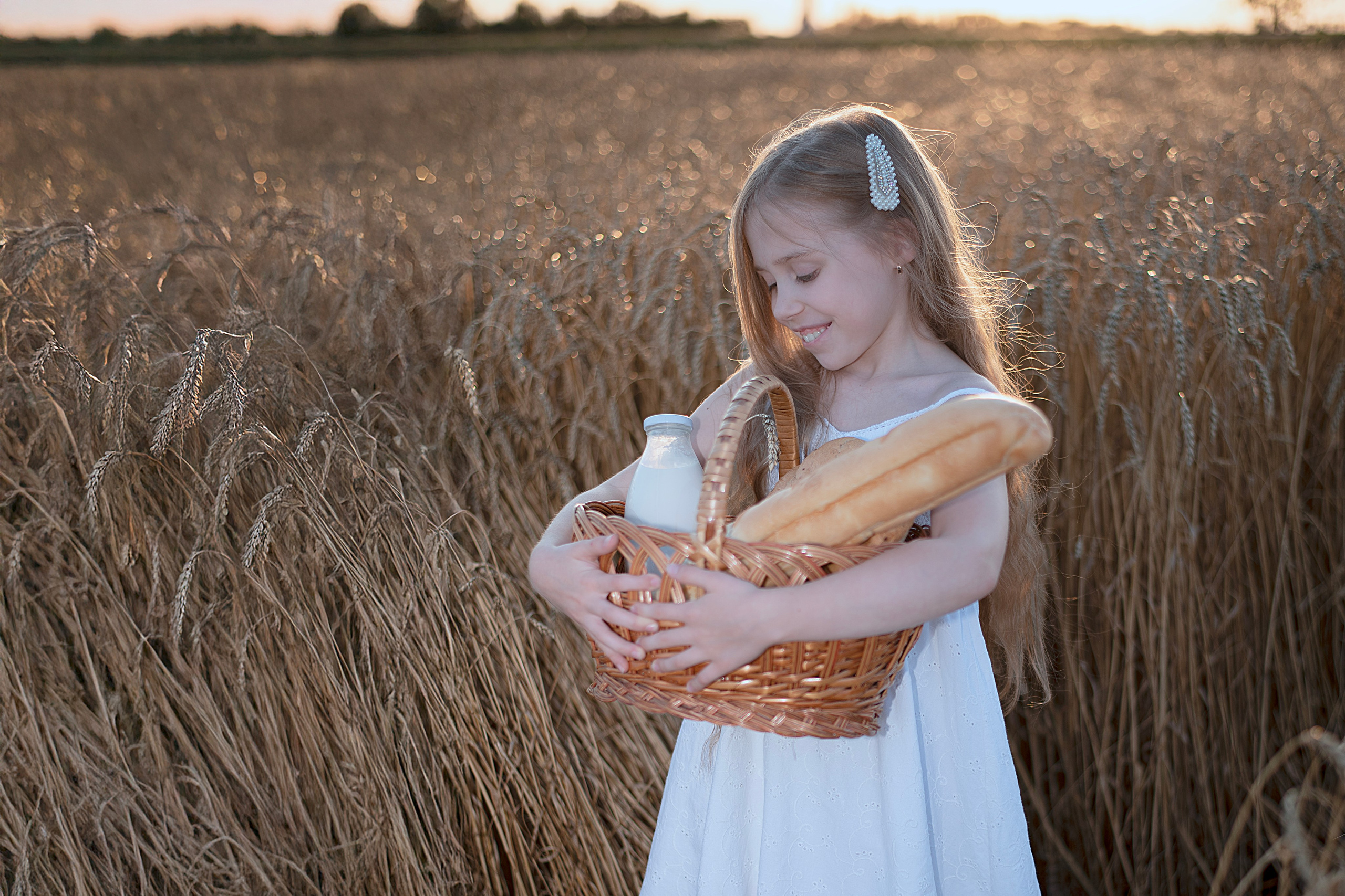 Поле пшеницы. Главная