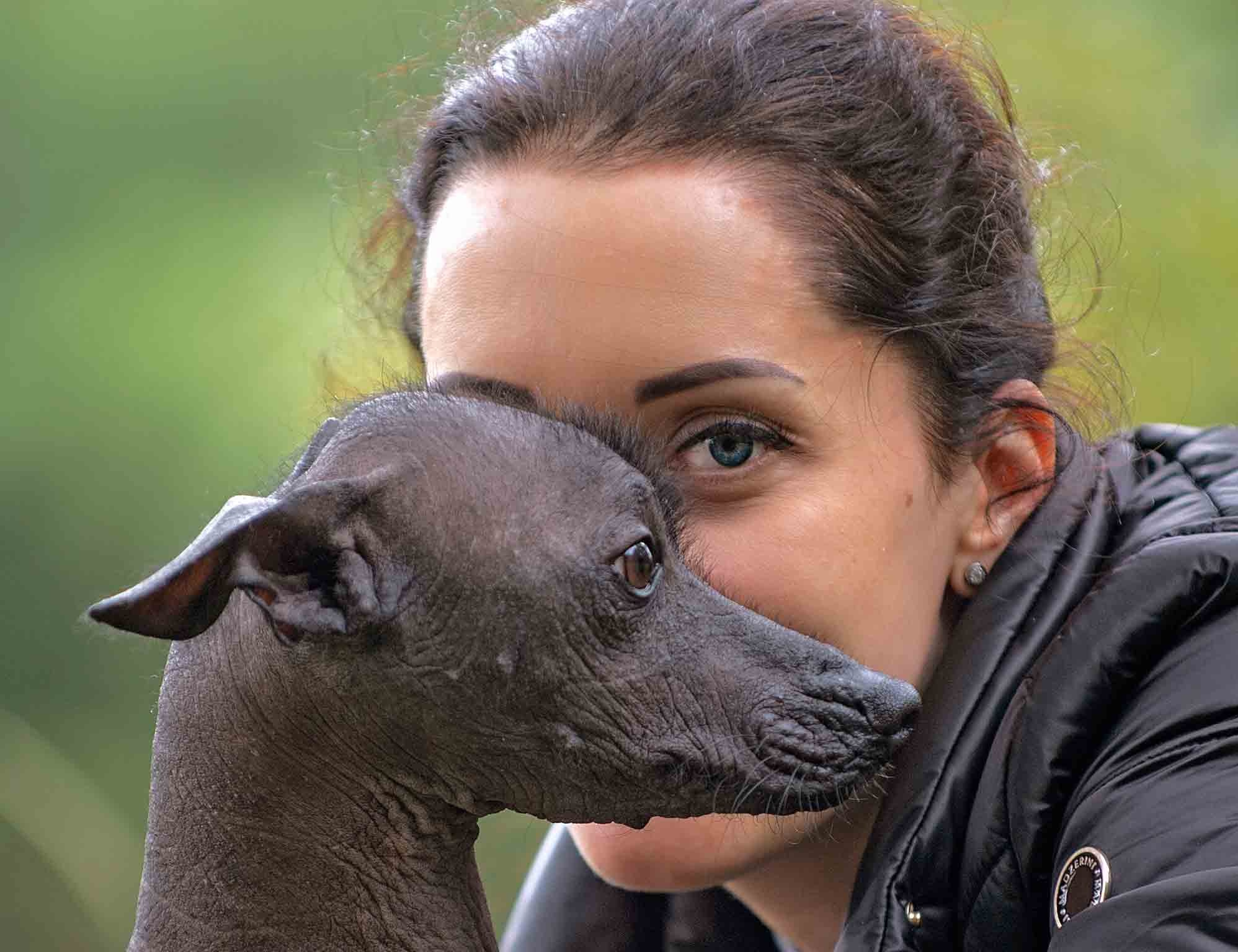 Фото с домашними питомцами. Портретная и свадебная фотосъемка. Москва и область