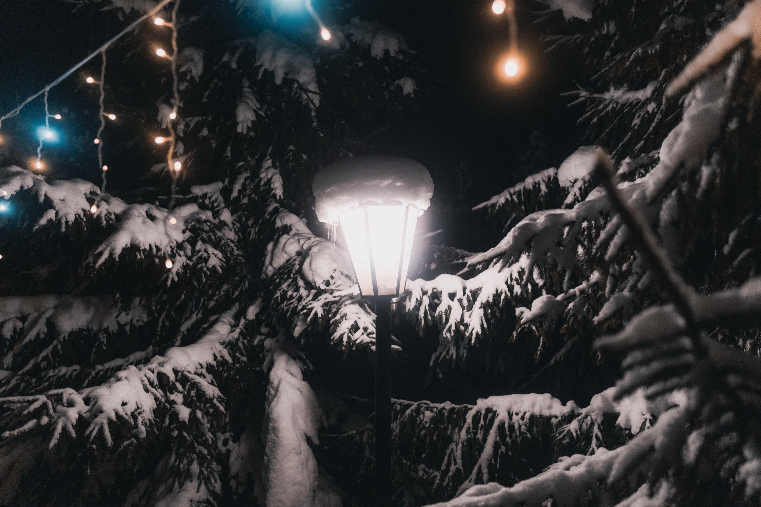 Gremyachiy Klyuch. Саватейкин Ярослав | Портретный фотограф в Москве