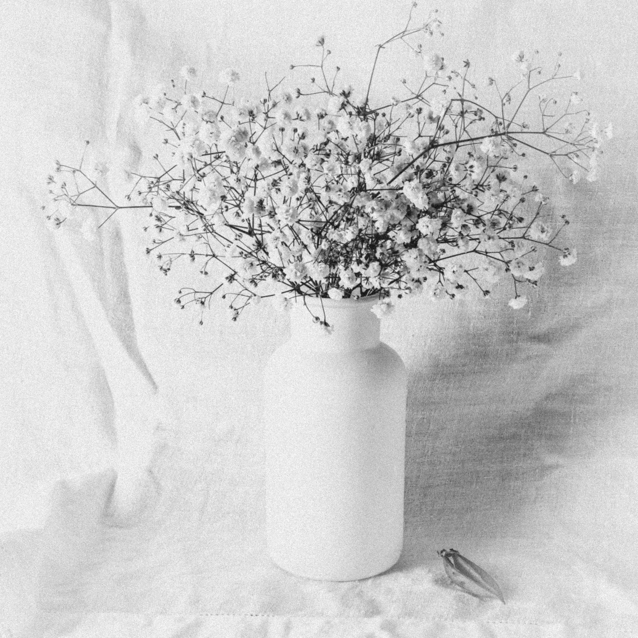 Природа &. Фотохудожник в СПб