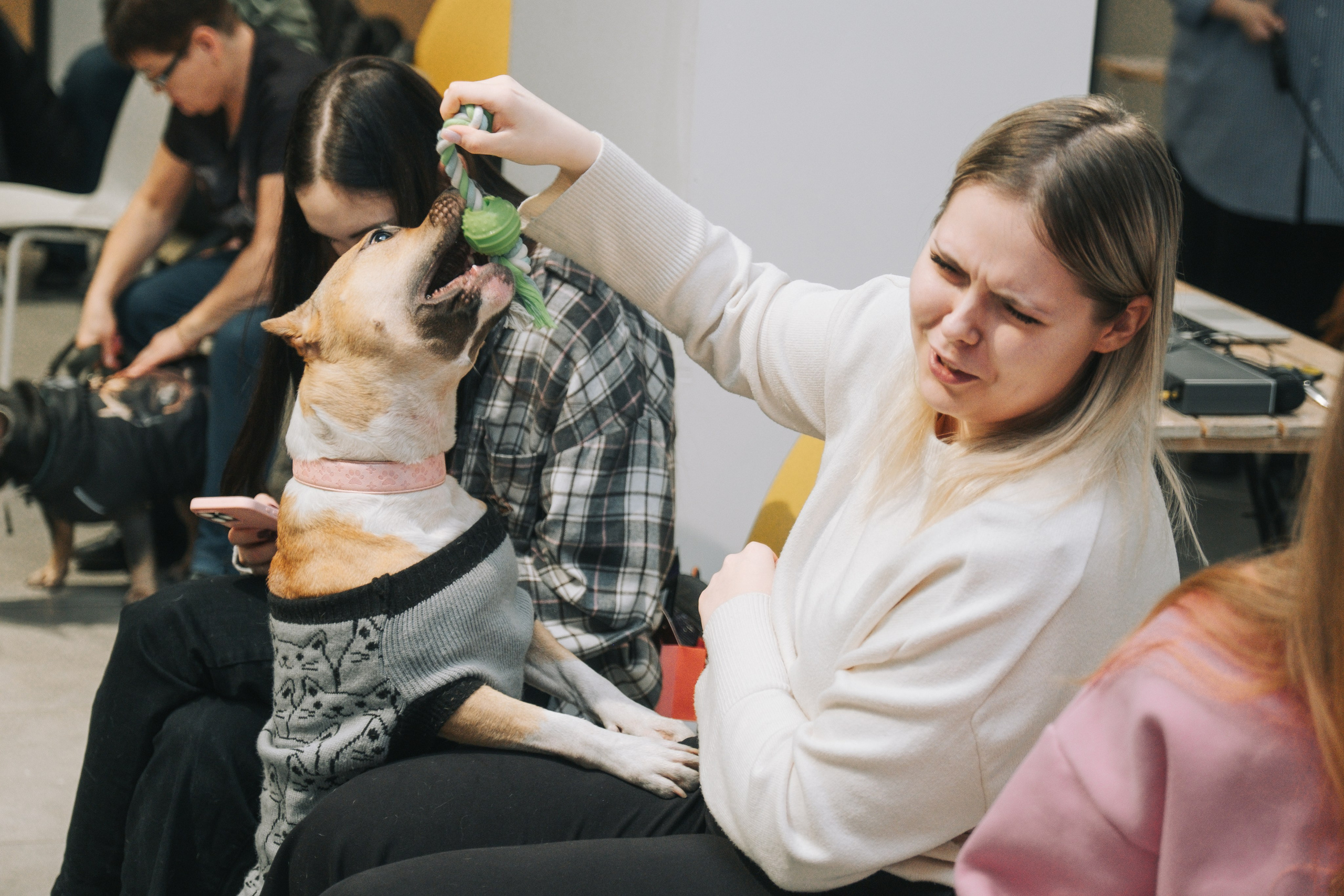 ПЕТ-БРАНЧ («РЕЛЬСЫ» Х «4 ЛАПЫ»). Главная