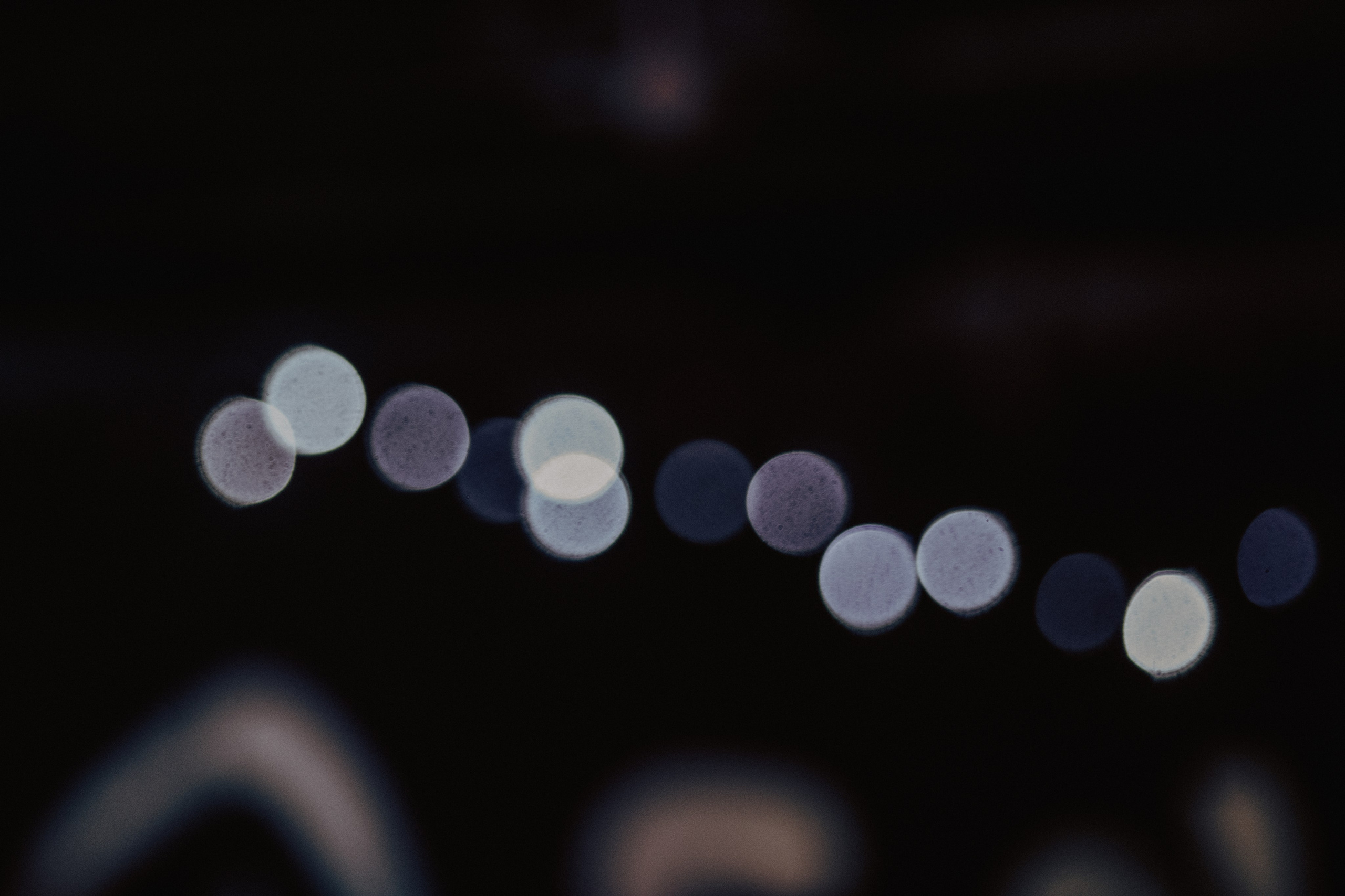 ФИРМЕННЫЙ ФЕСТ. Фотограф Елена Богачева (lenalena_na_na_na)