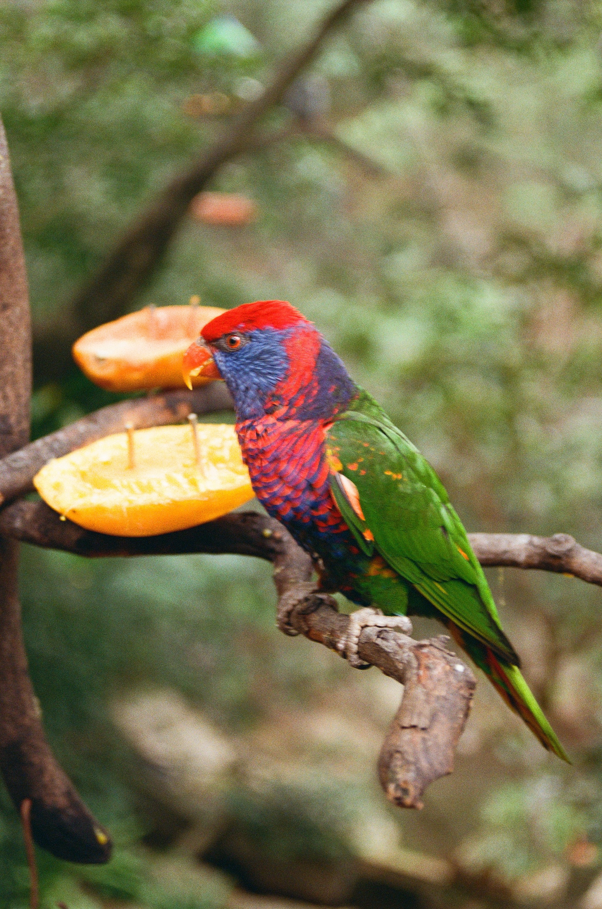 Гон Конг 2024. Репортажный и портретный фотограф Русакова Жанна