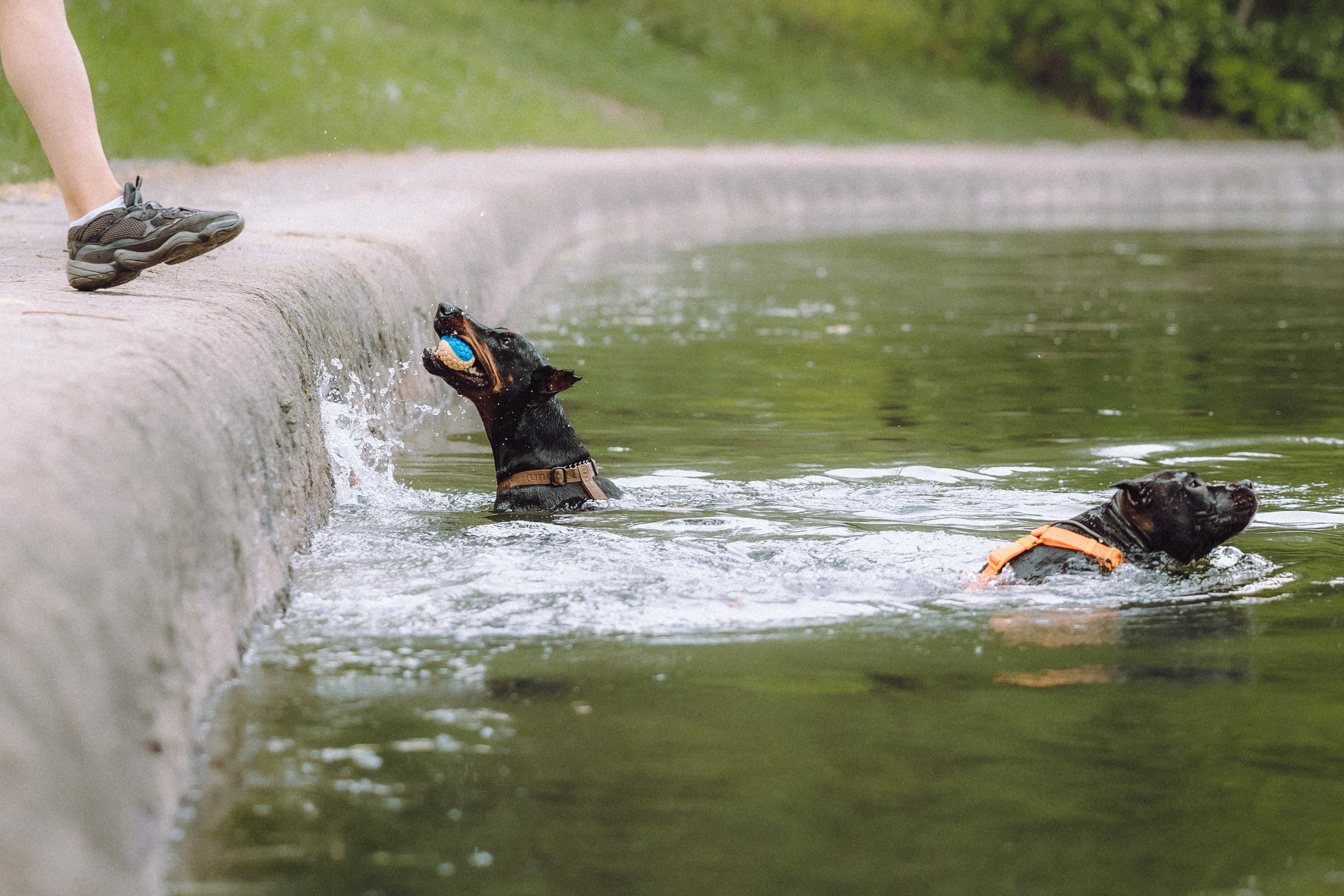 Паша, Хайди и Тея
