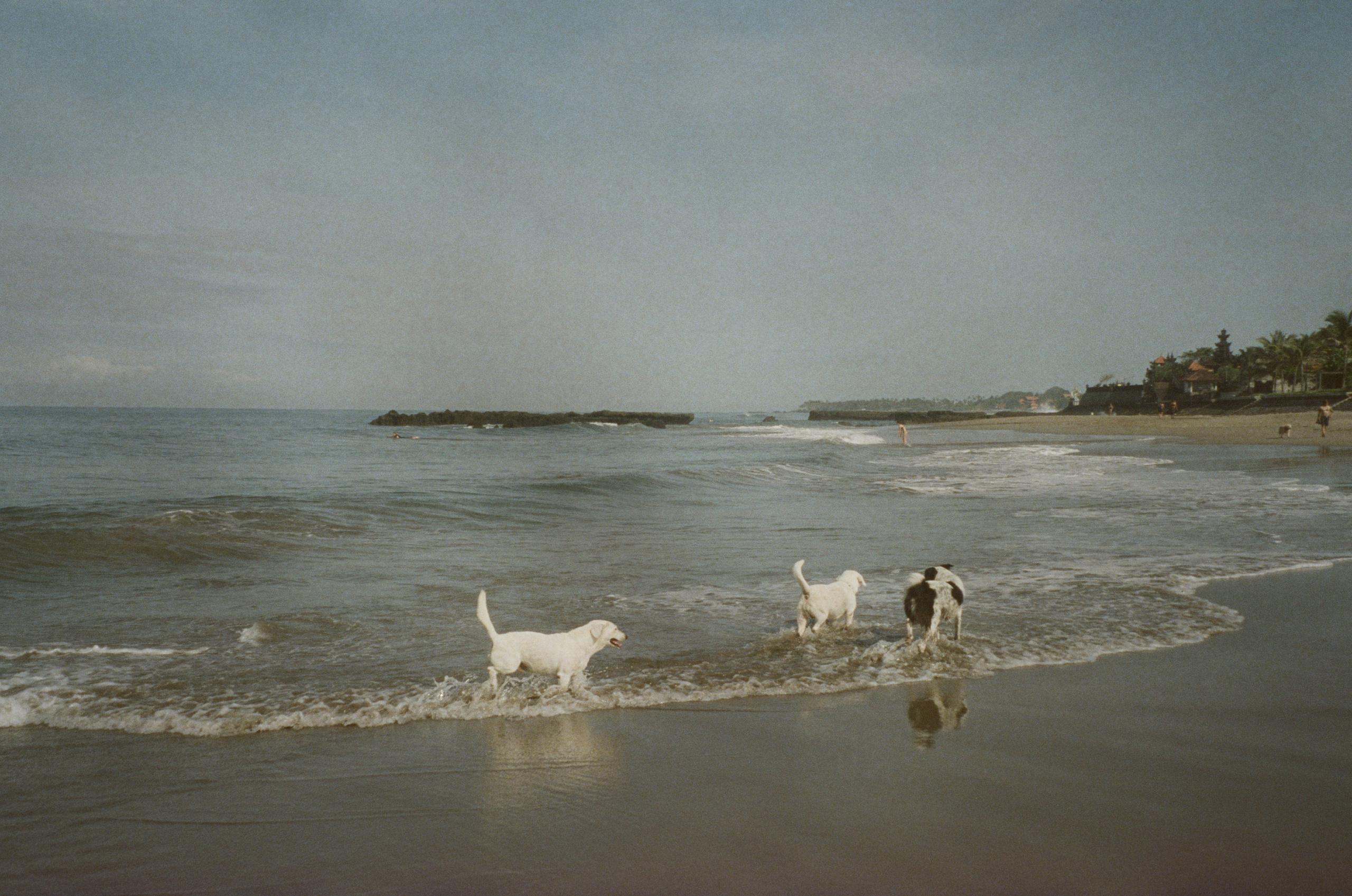 Who u are?. Carolinetru