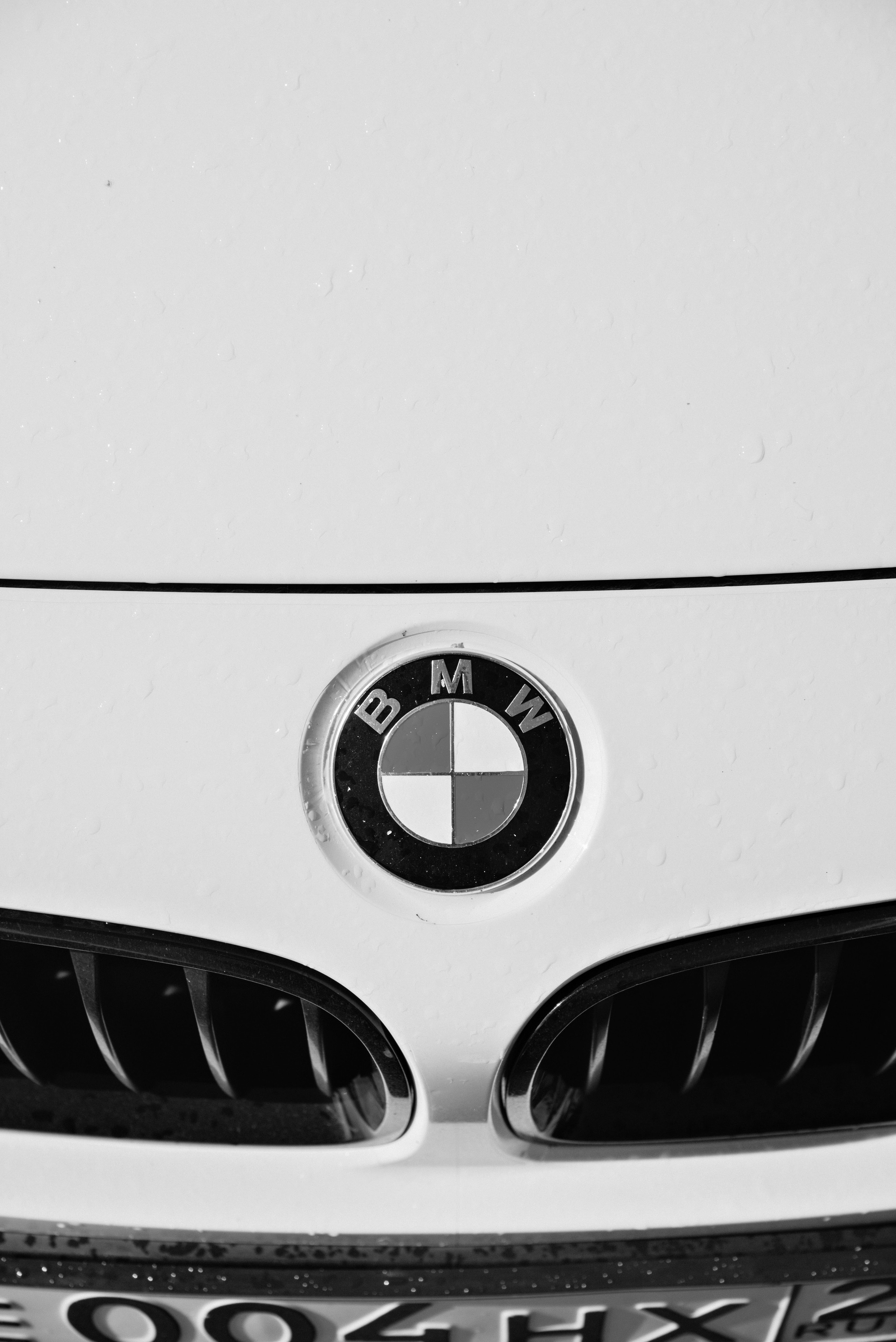 Ирина и Дима. Фотограф Москва