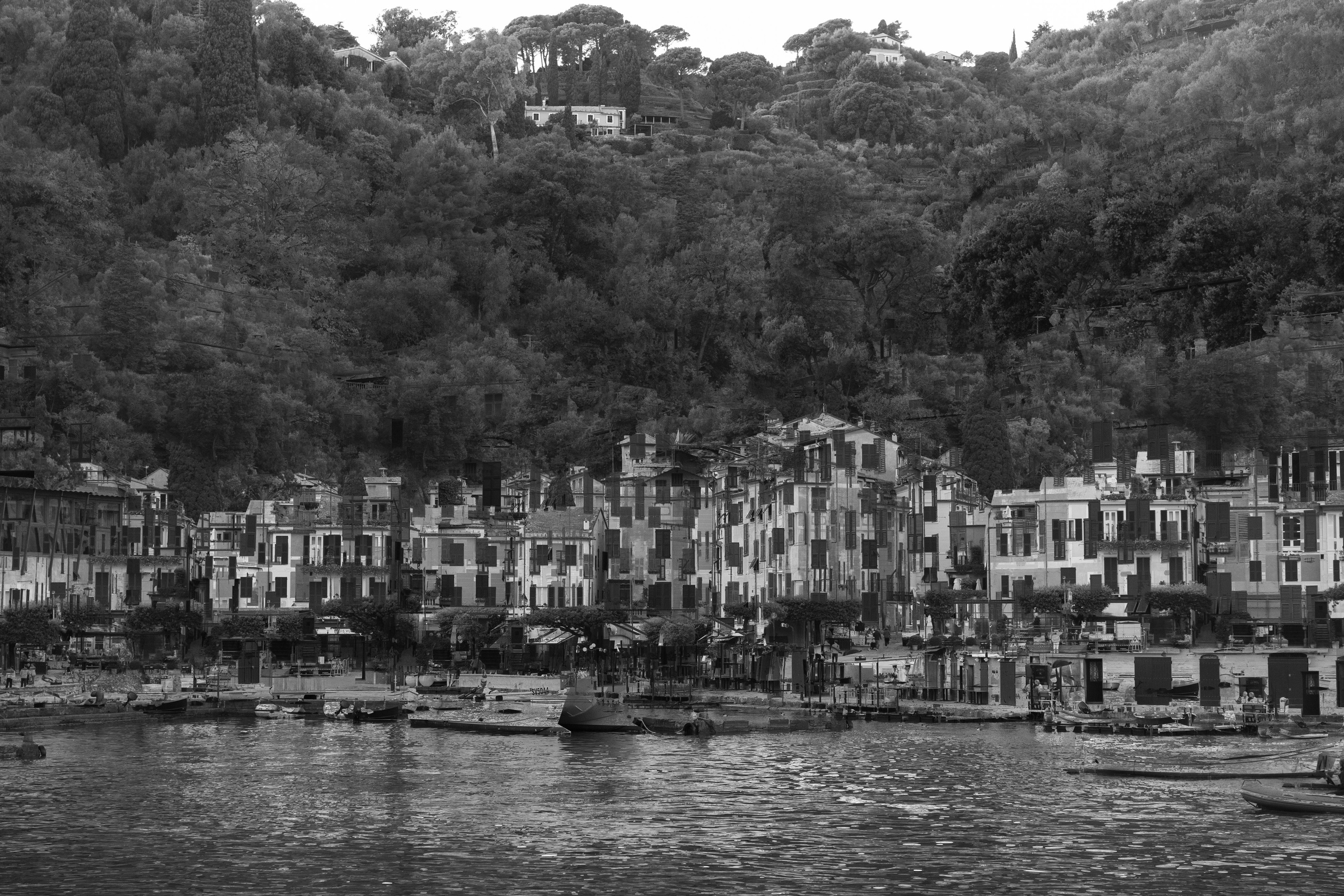 Art prints. Фотограф алина стерхова, алина стерхова фотограф, фотограф москва