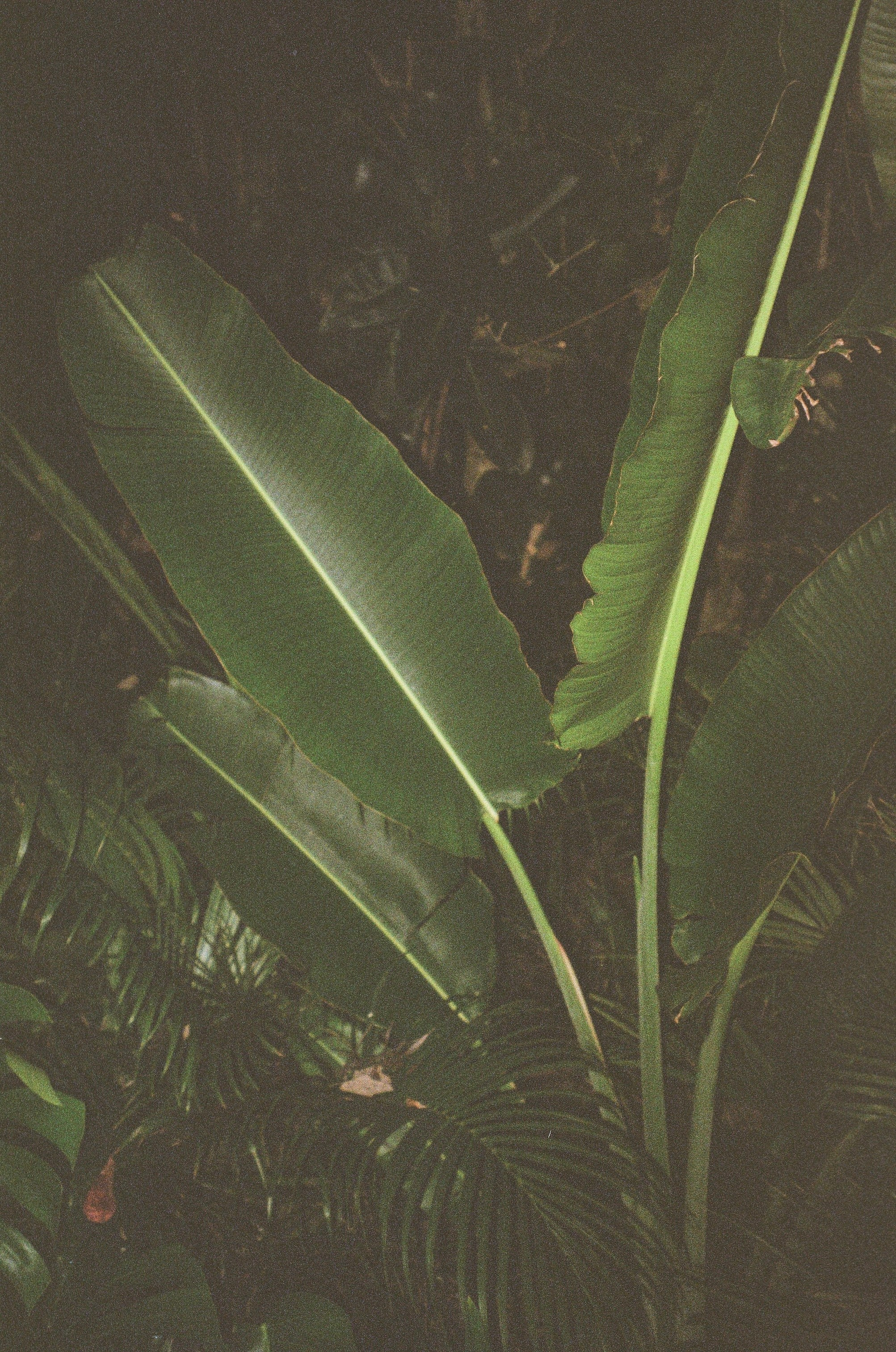 SOMEWHERE. Carolinetru