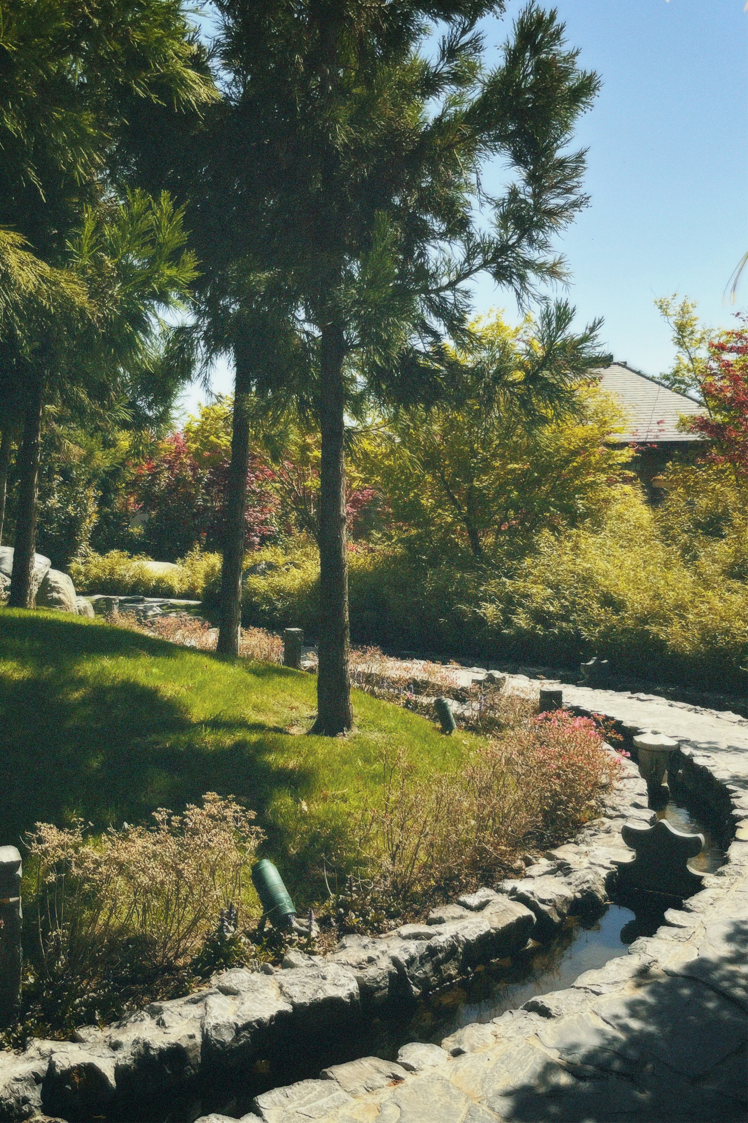 КРАСНОДАР. Портретный и лавстори фотограф в Стерлитамаке Альбина Шарт