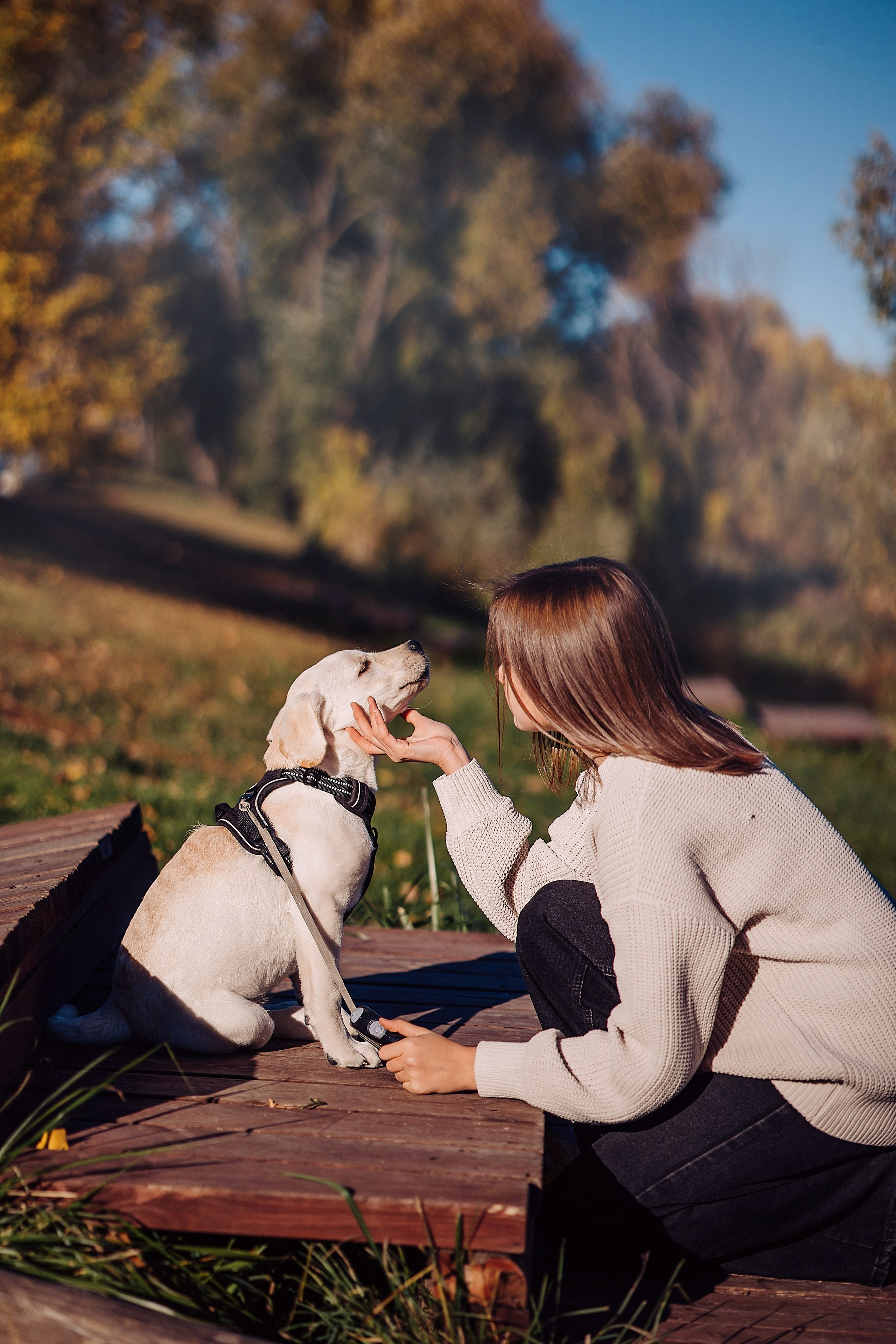 Арина. Свадебный и семейный фотограф в Йошкар-Оле