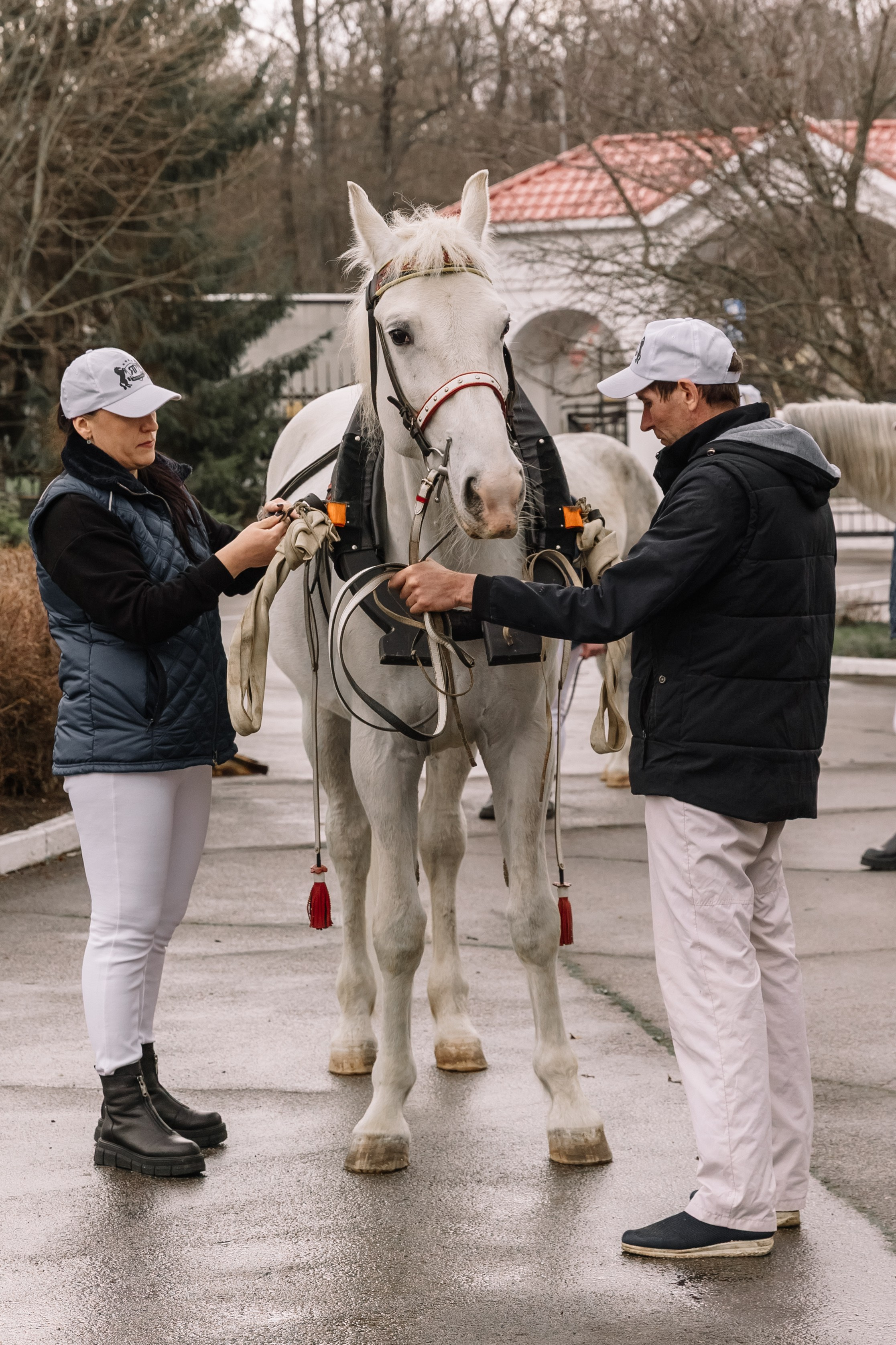 День Орловского рысака. Парк-отель Яр. Свадебный, репортажный фотограф Ирина Шкурина