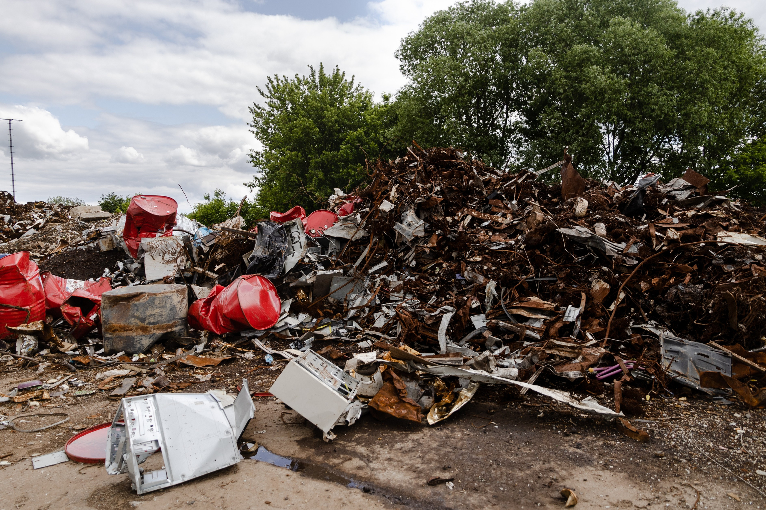 Открытый мир. DASHA KALNINA