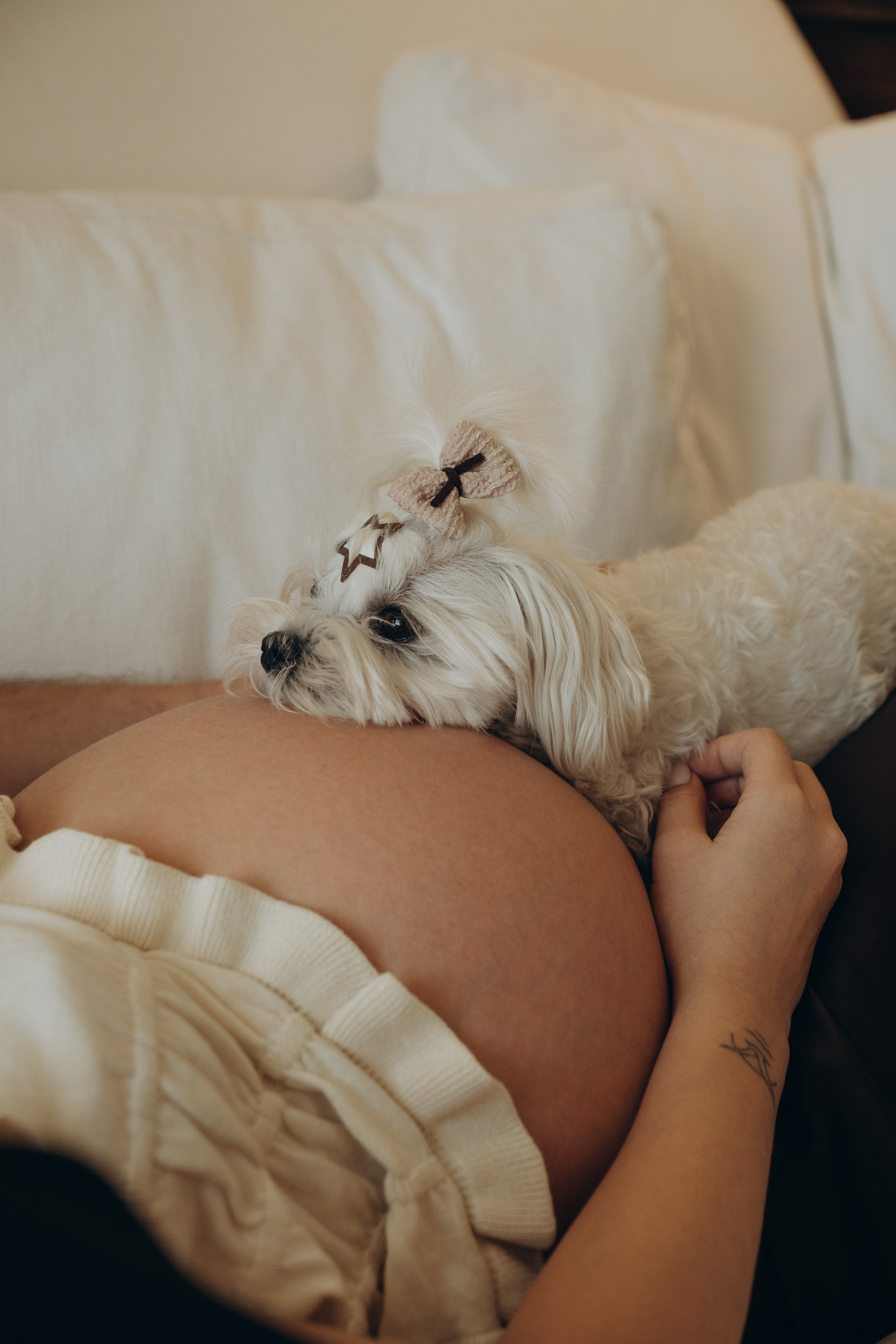 Фотосессия беременности|Москва. Фотограф|Москва — Агбаш Лера