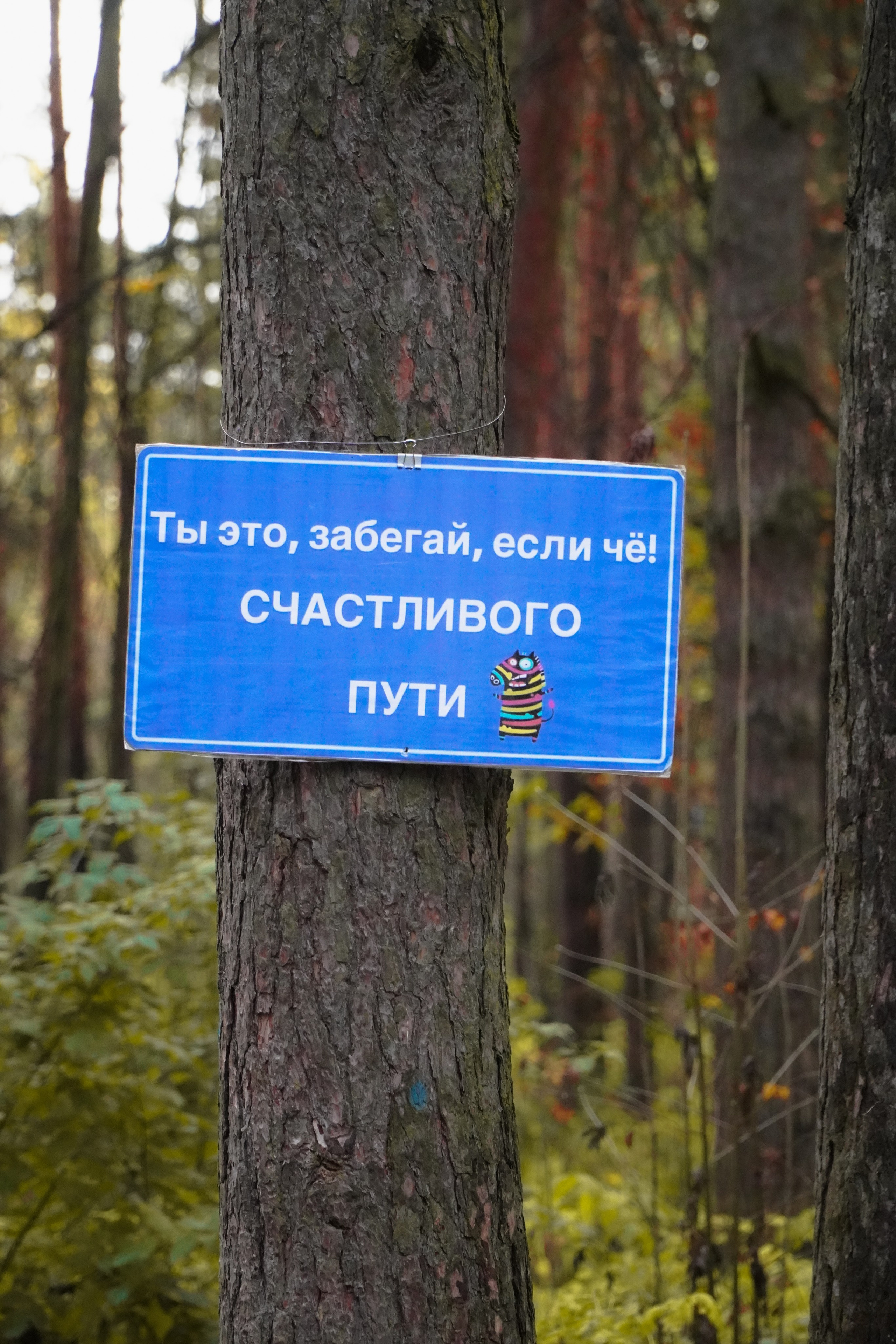 5 вёрст Томилинский 3 года 18 октября 2025. Роман Капилюшов. Бег. Фото. Видео. г. Люберцы