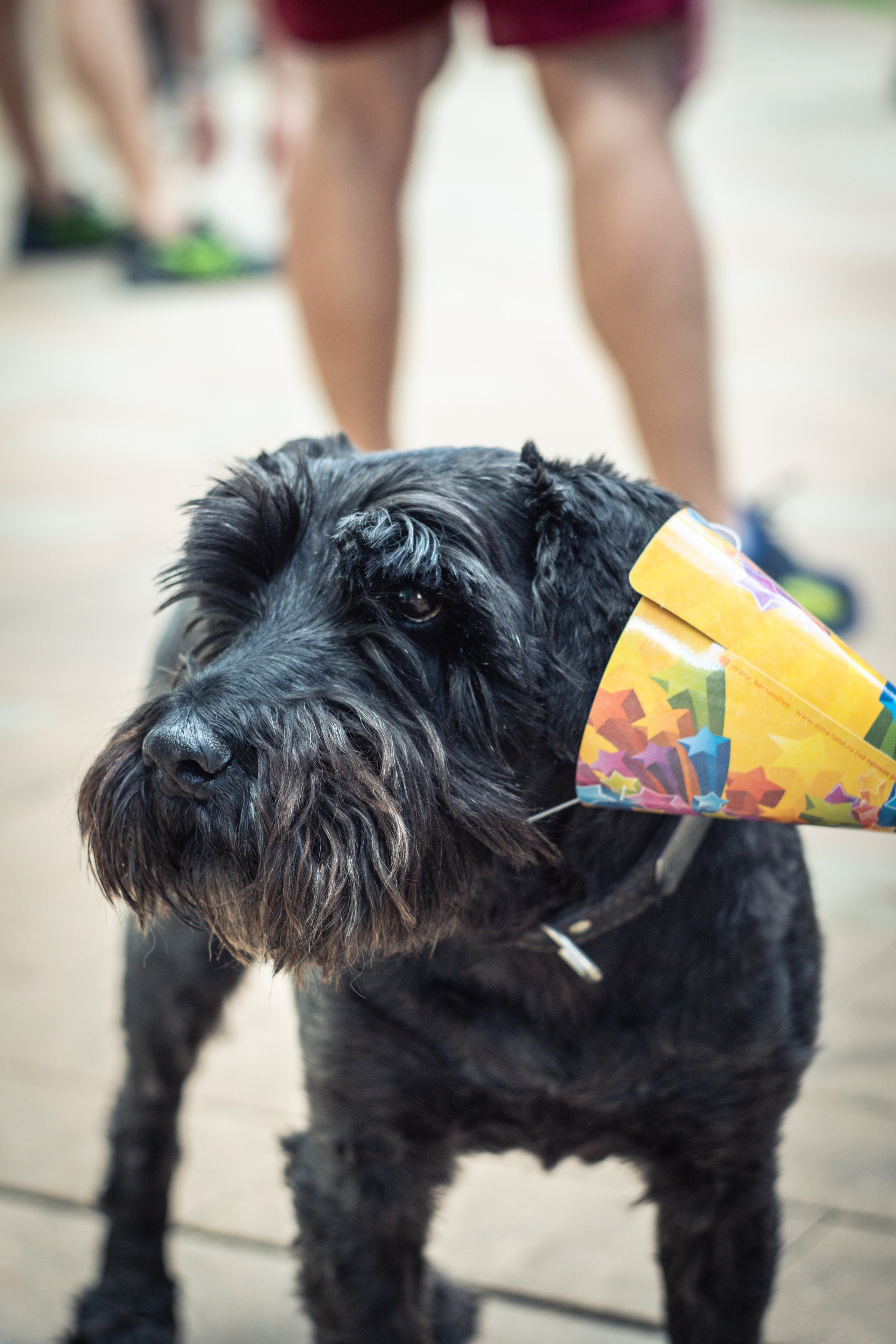 5 вёрст Наташинский 8 июня 2024. Роман Капилюшов. Бег. Фото. Видео. г. Люберцы