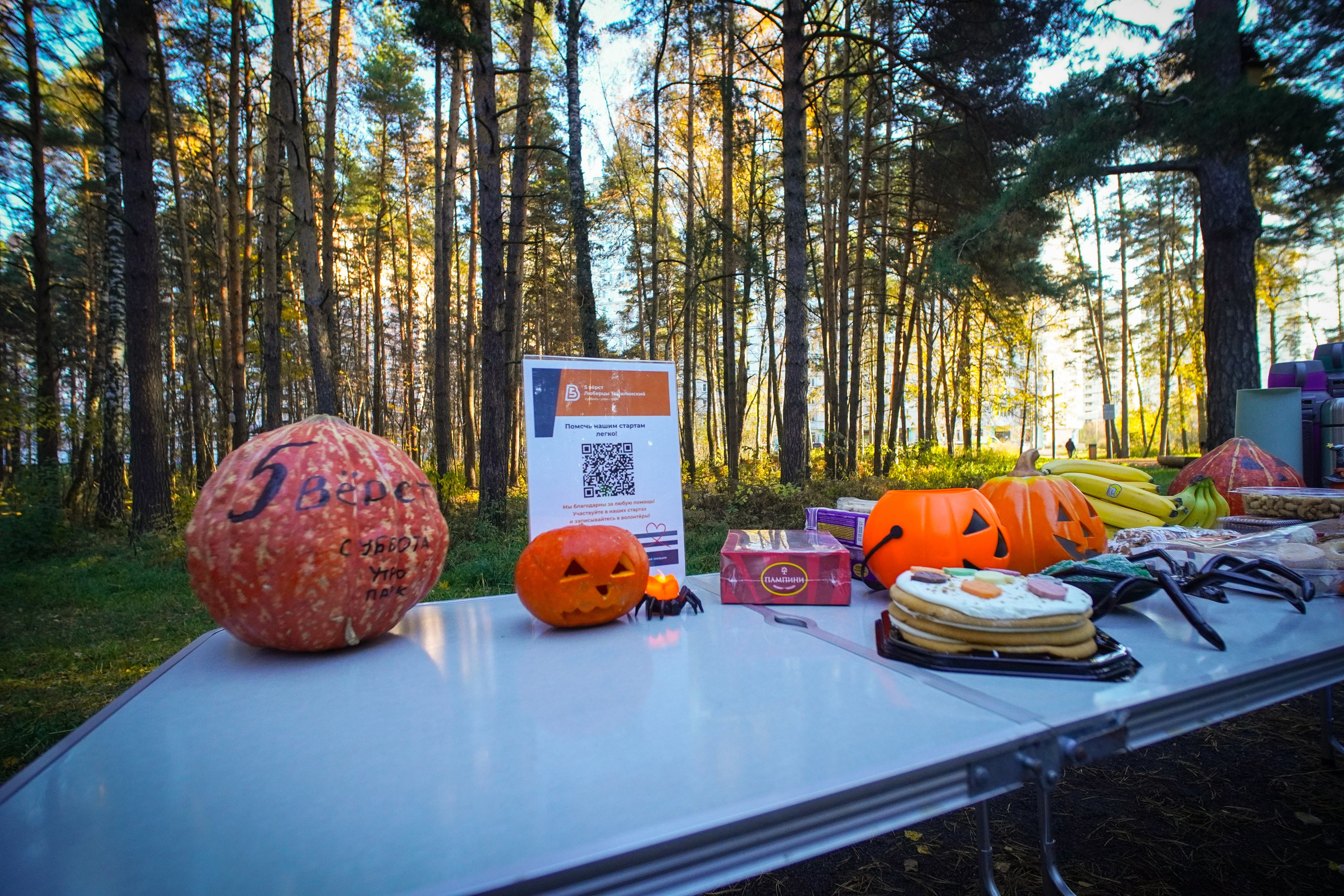 5 вёрст Томилинский 26 октября 2024. Роман Капилюшов. Бег. Фото. Видео. г. Люберцы