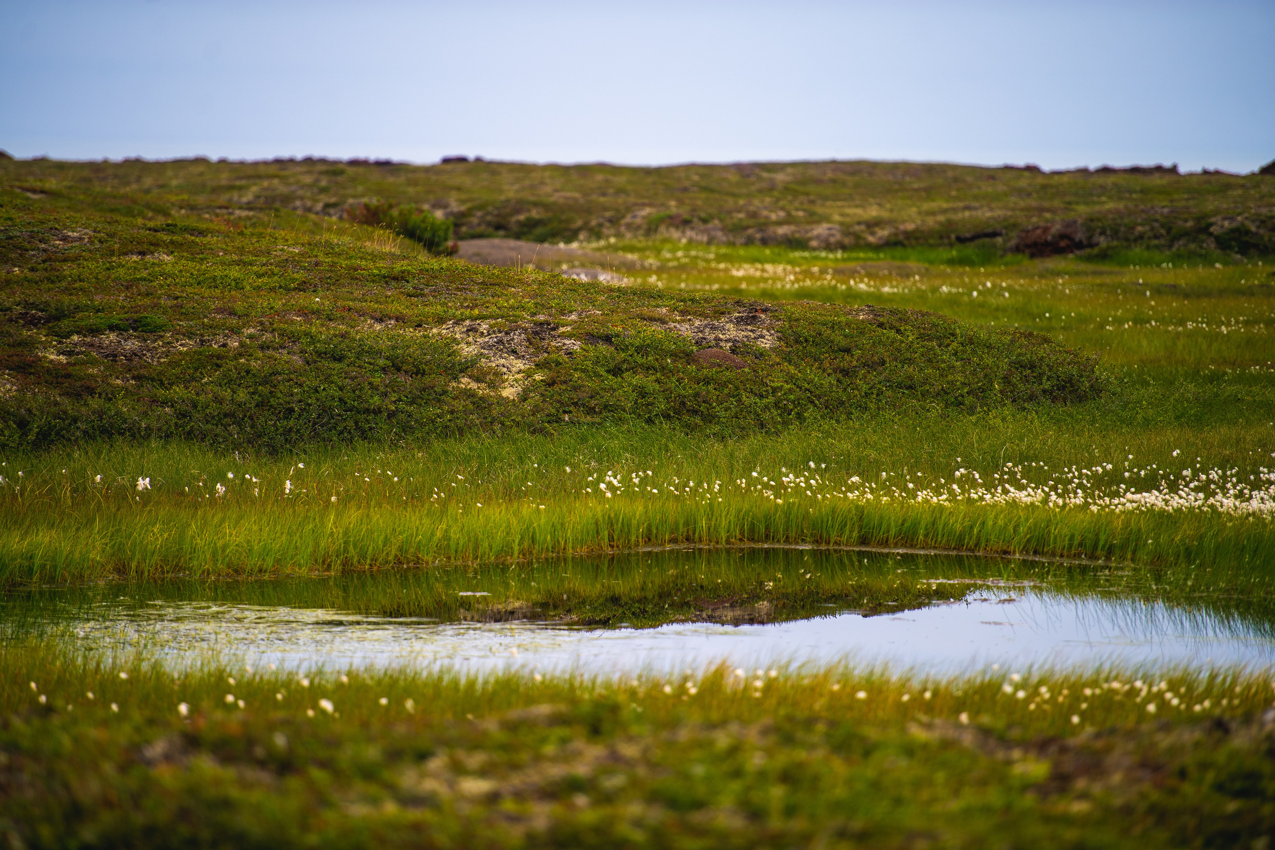 Камчатка. Фотограф в Санкт-Петербурге Вихтинский Николай