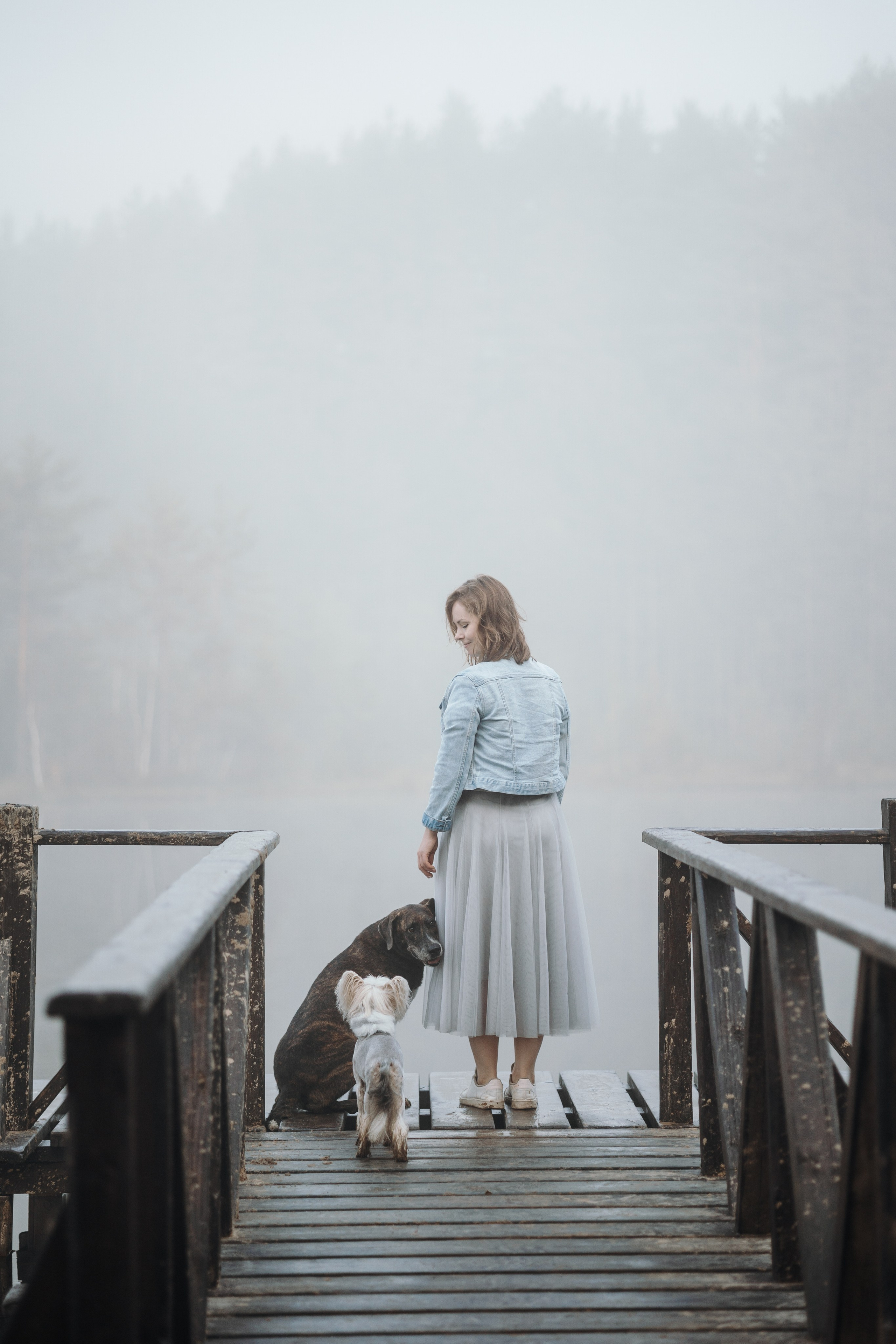 Любовь и ее хвостики. Фотограф — Анималист | Санкт-Петербург