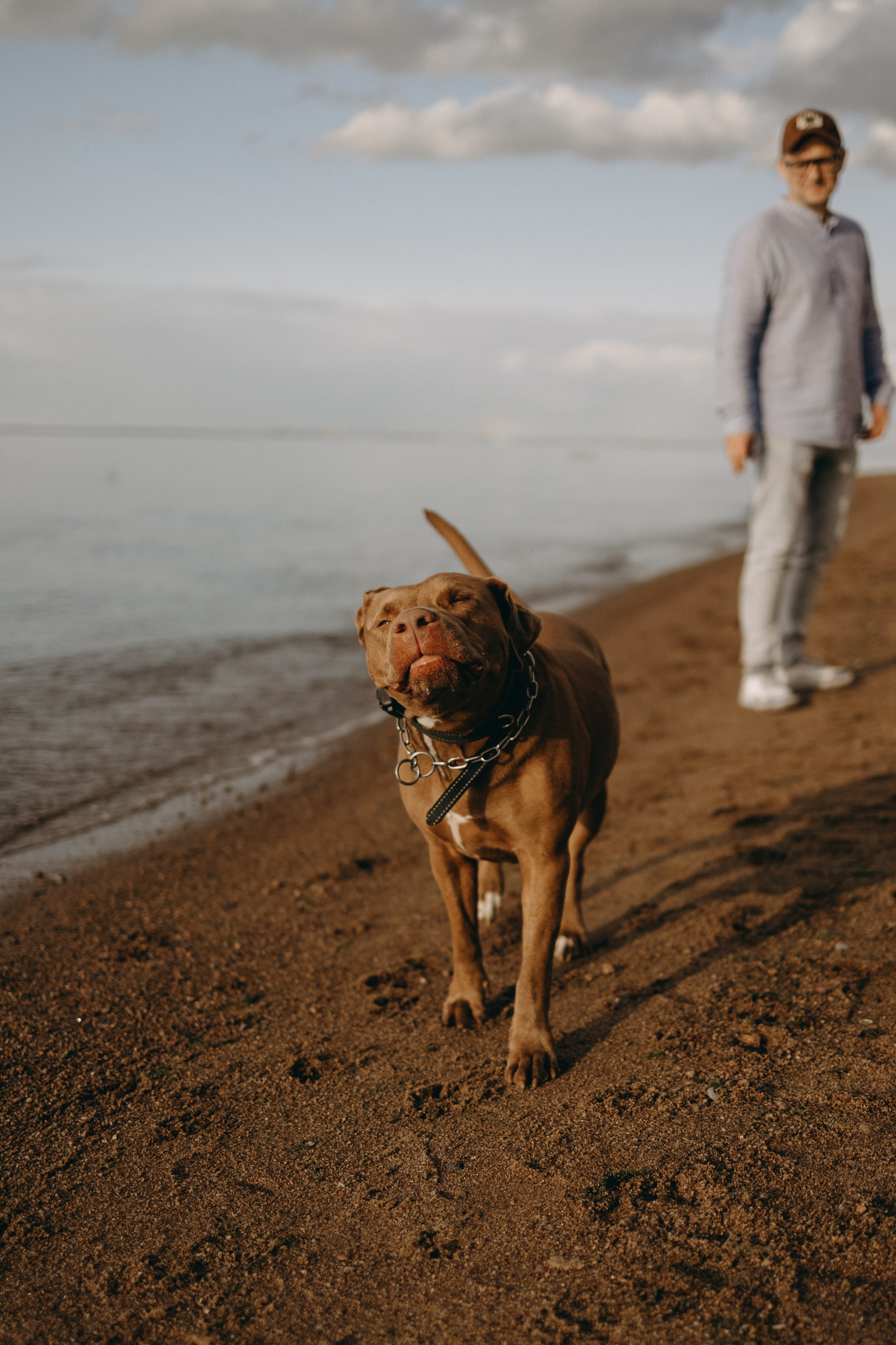 Бонни и ее семья. Фотограф — Анималист | Санкт-Петербург