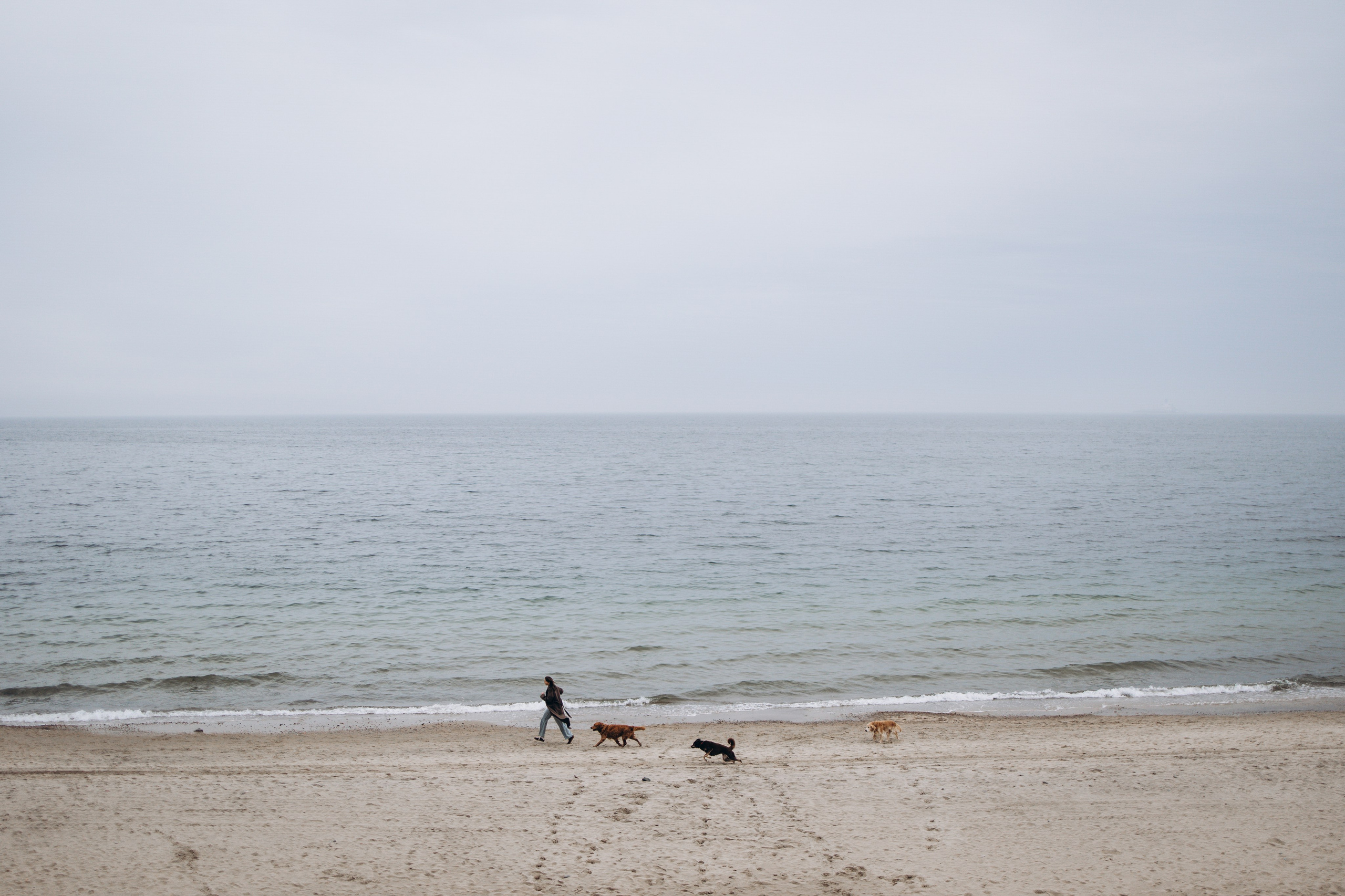 Юля и Максик. Фотограф — Анималист | Санкт-Петербург