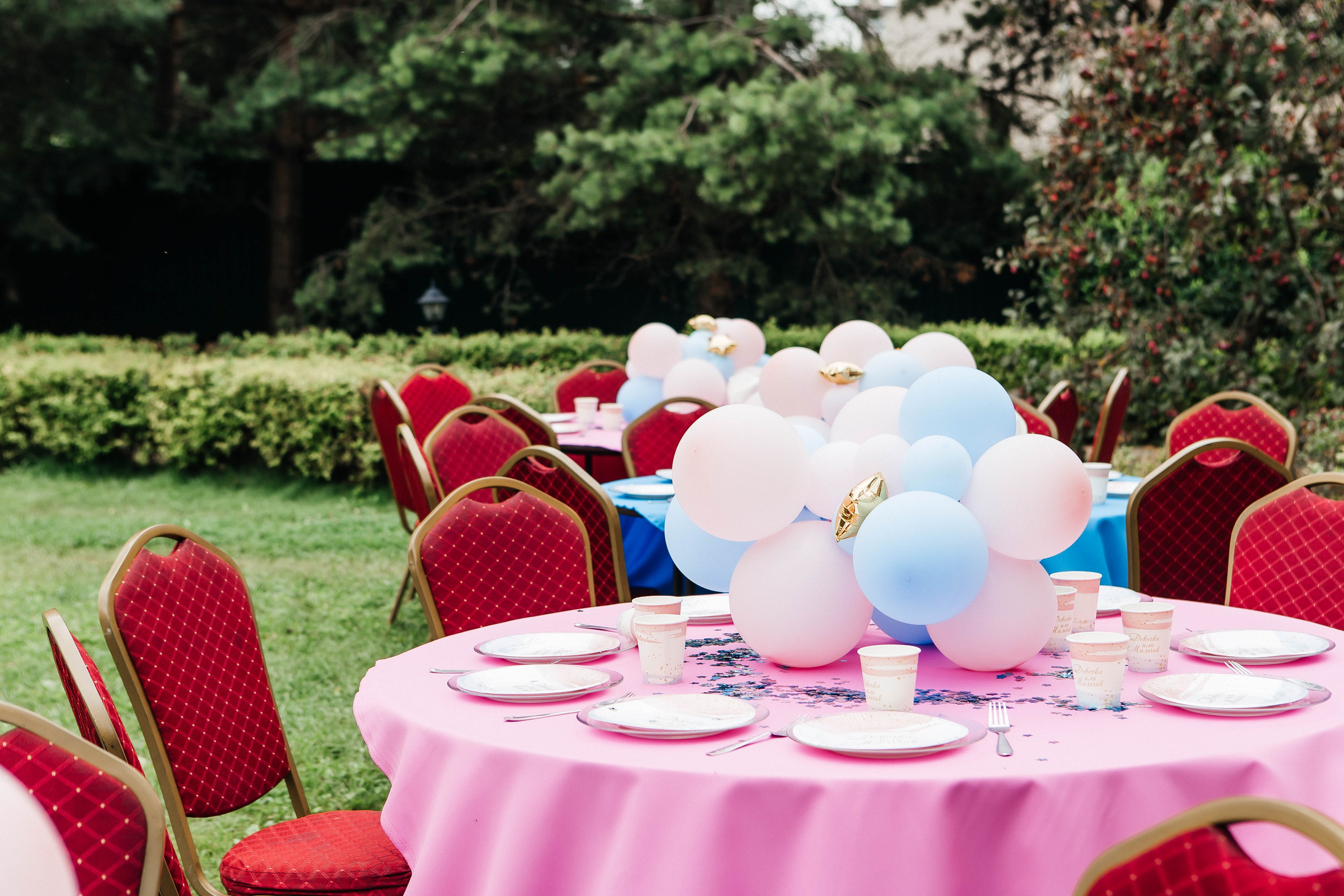GENDER PARTY. Фотограф Абакумова Анастасия