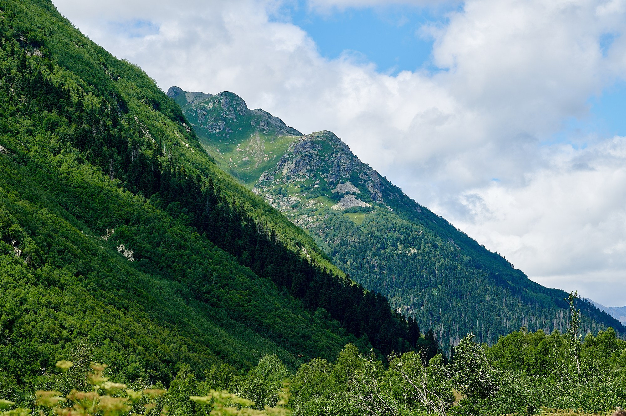 Домбай август 2024. Фотографии отовсюду и обо всем